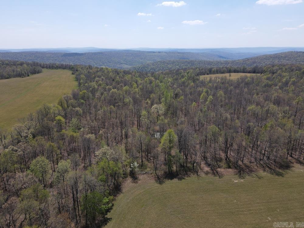 Tbd Liberty Road Property Photo 20