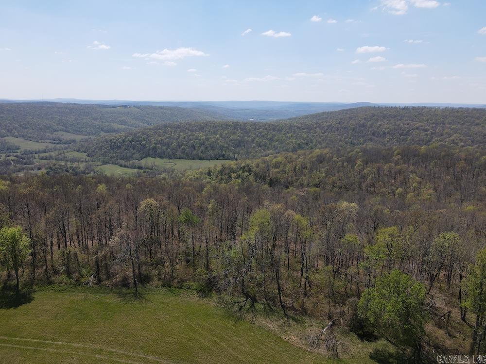 Tbd Liberty Road Property Photo 32