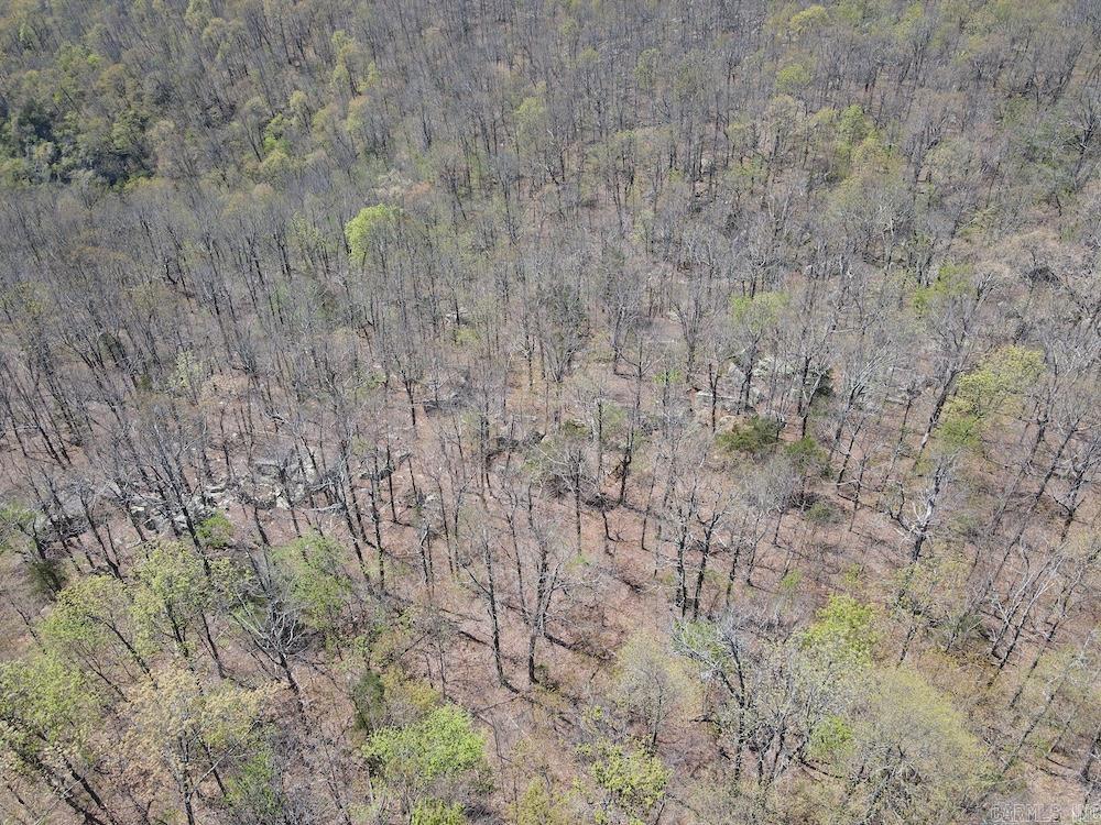 Tbd Liberty Road Property Photo 35