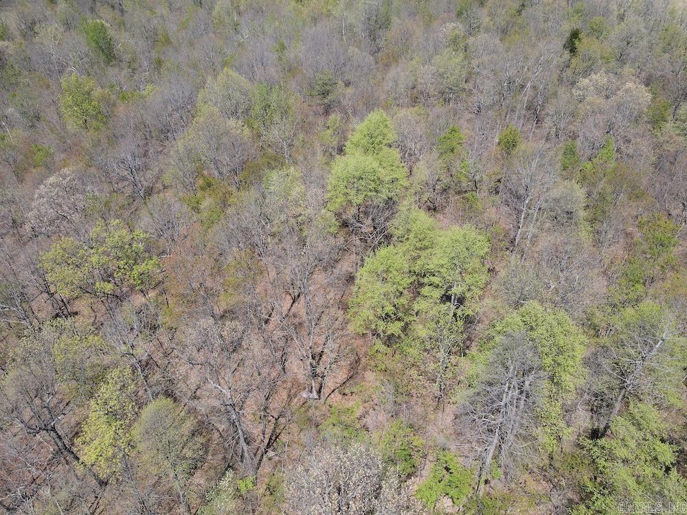 Tbd Liberty Road Property Photo 36