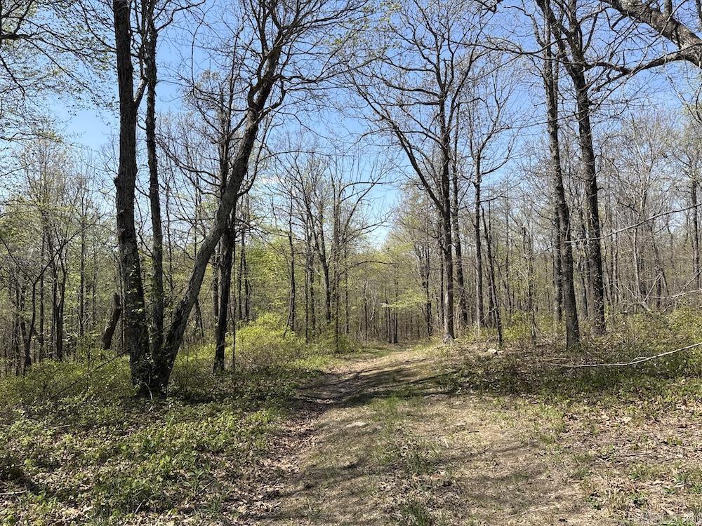 Tbd Liberty Road Property Photo 47