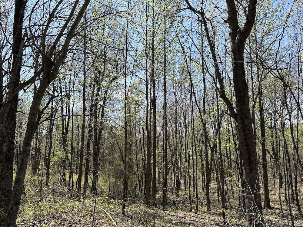 Tbd Liberty Road Property Photo 49