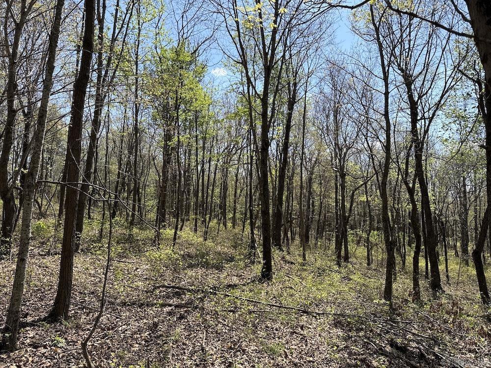 Tbd Liberty Road Property Photo 50