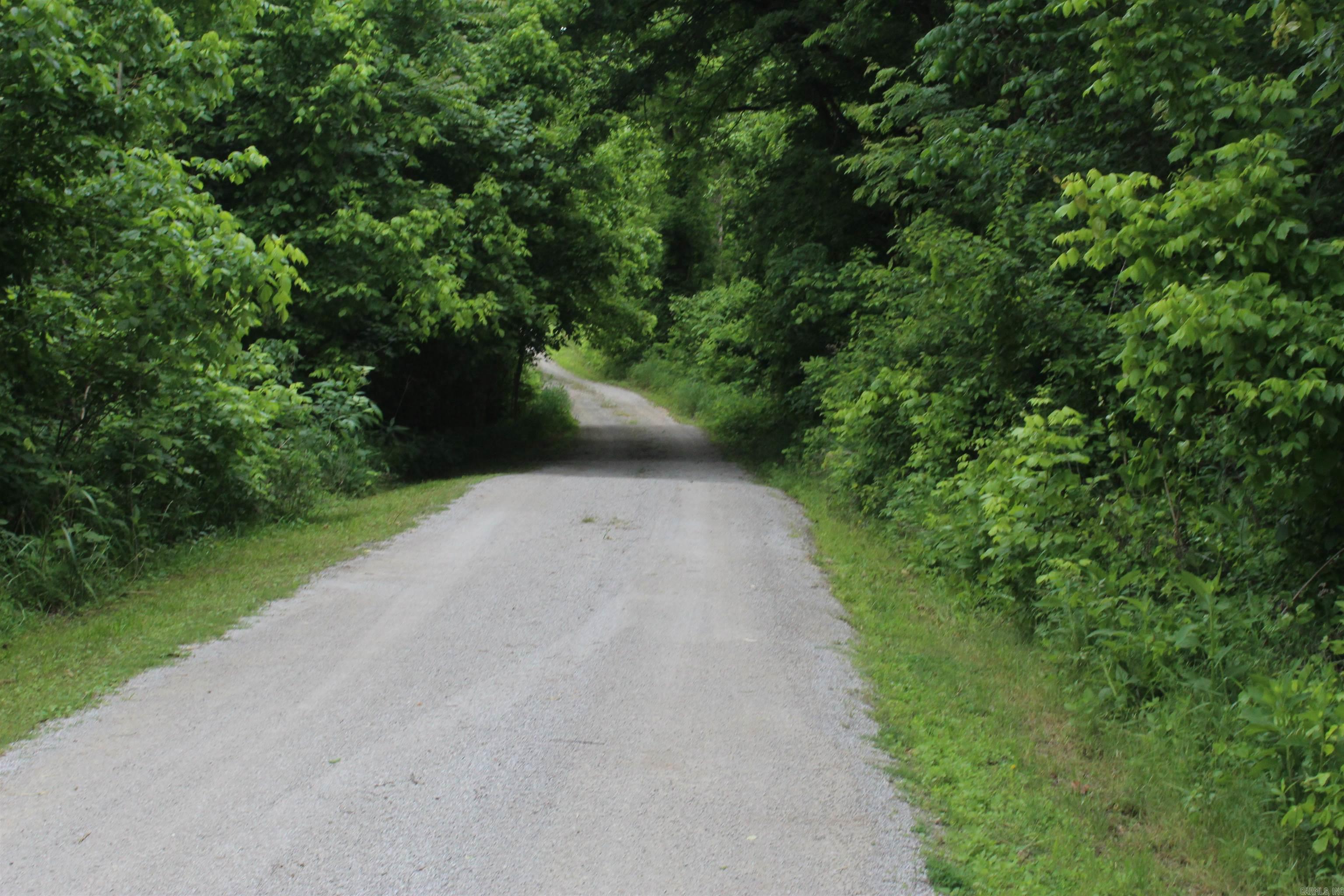 0 County Rd 157 River Ridge Estates Property Photo 11