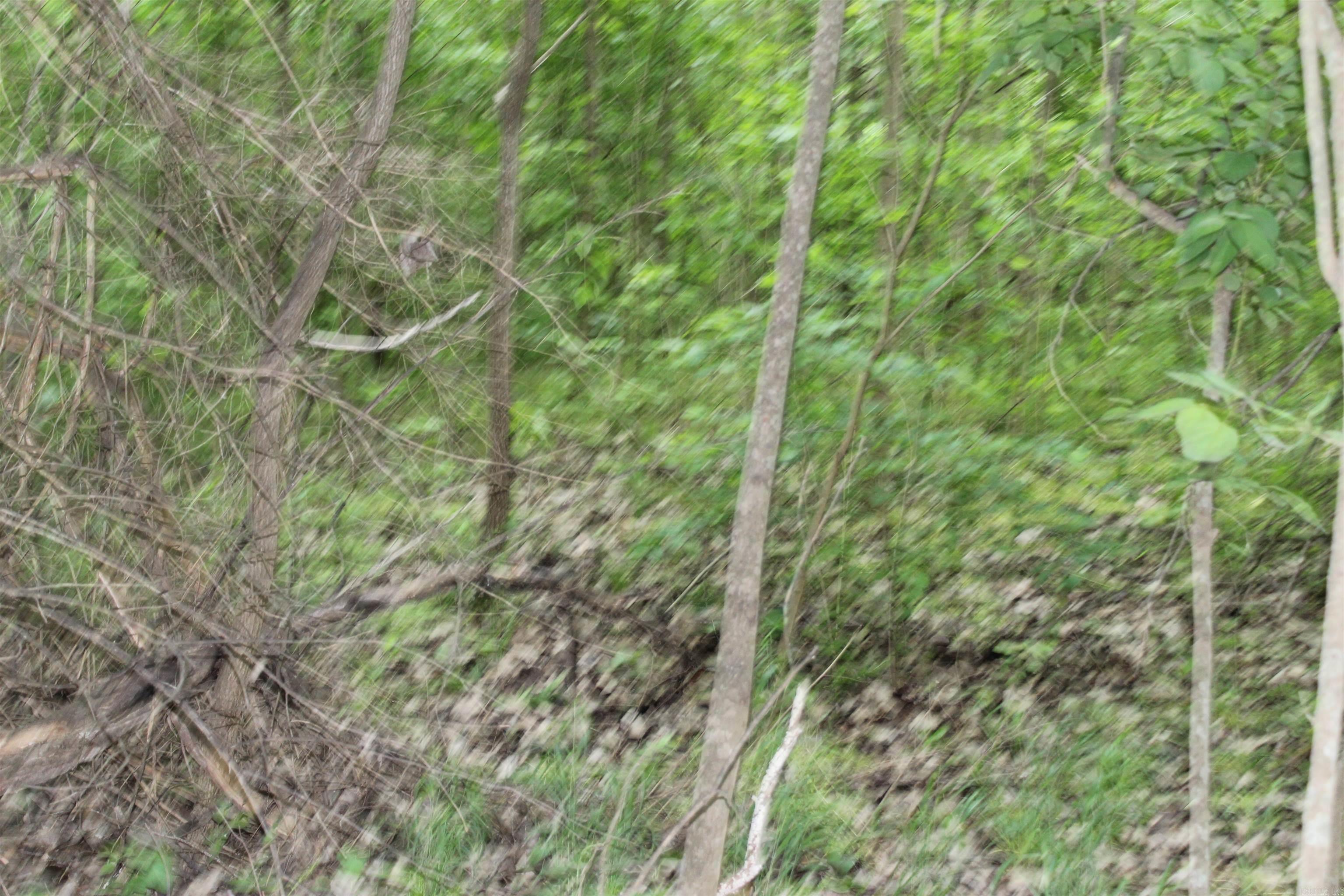 0 County Rd 157 River Ridge Estates Property Photo 16