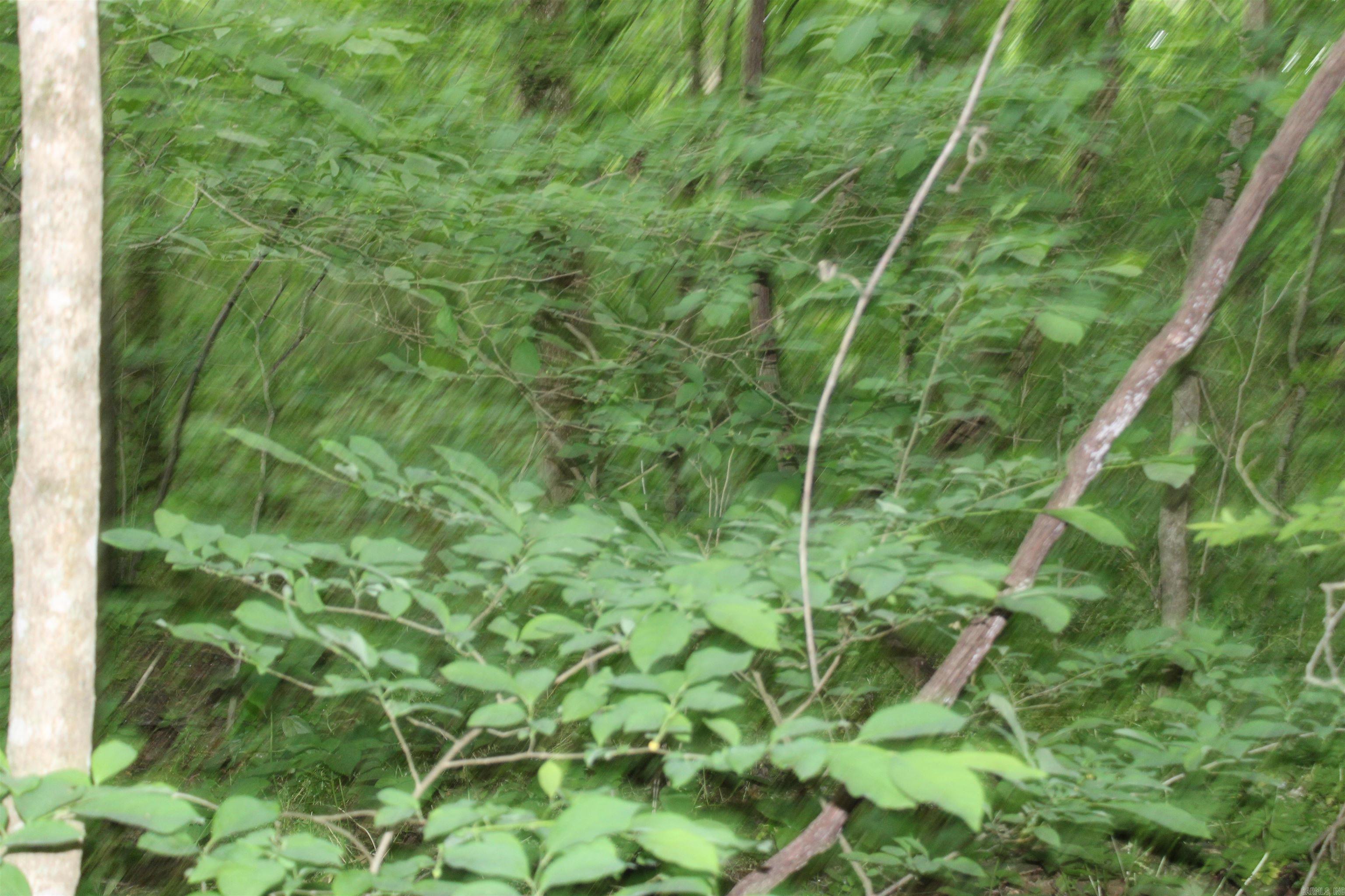 0 County Rd 157 River Ridge Estates Property Photo 26
