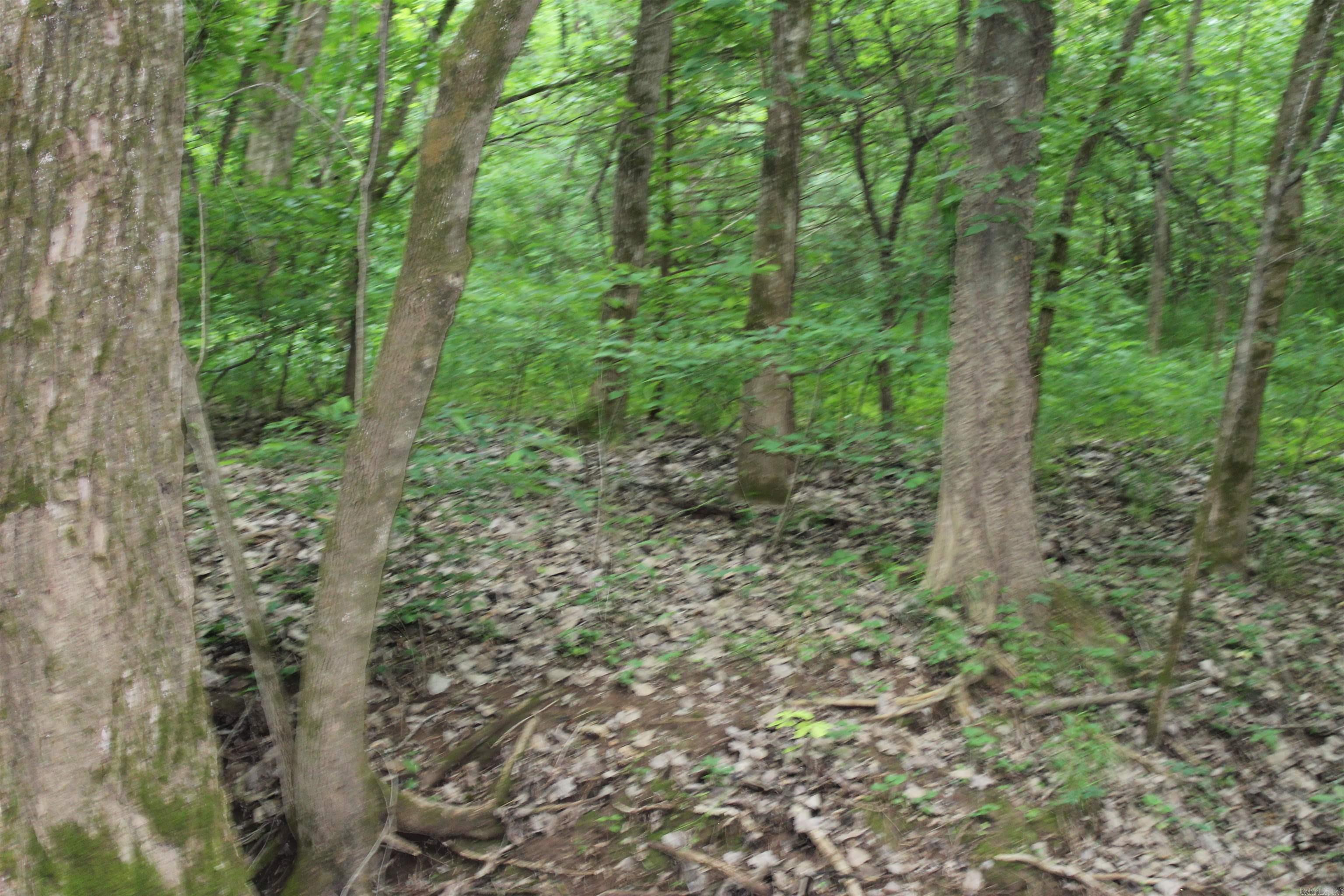 00 Cr 157 River Ridge Estates Property Photo 11