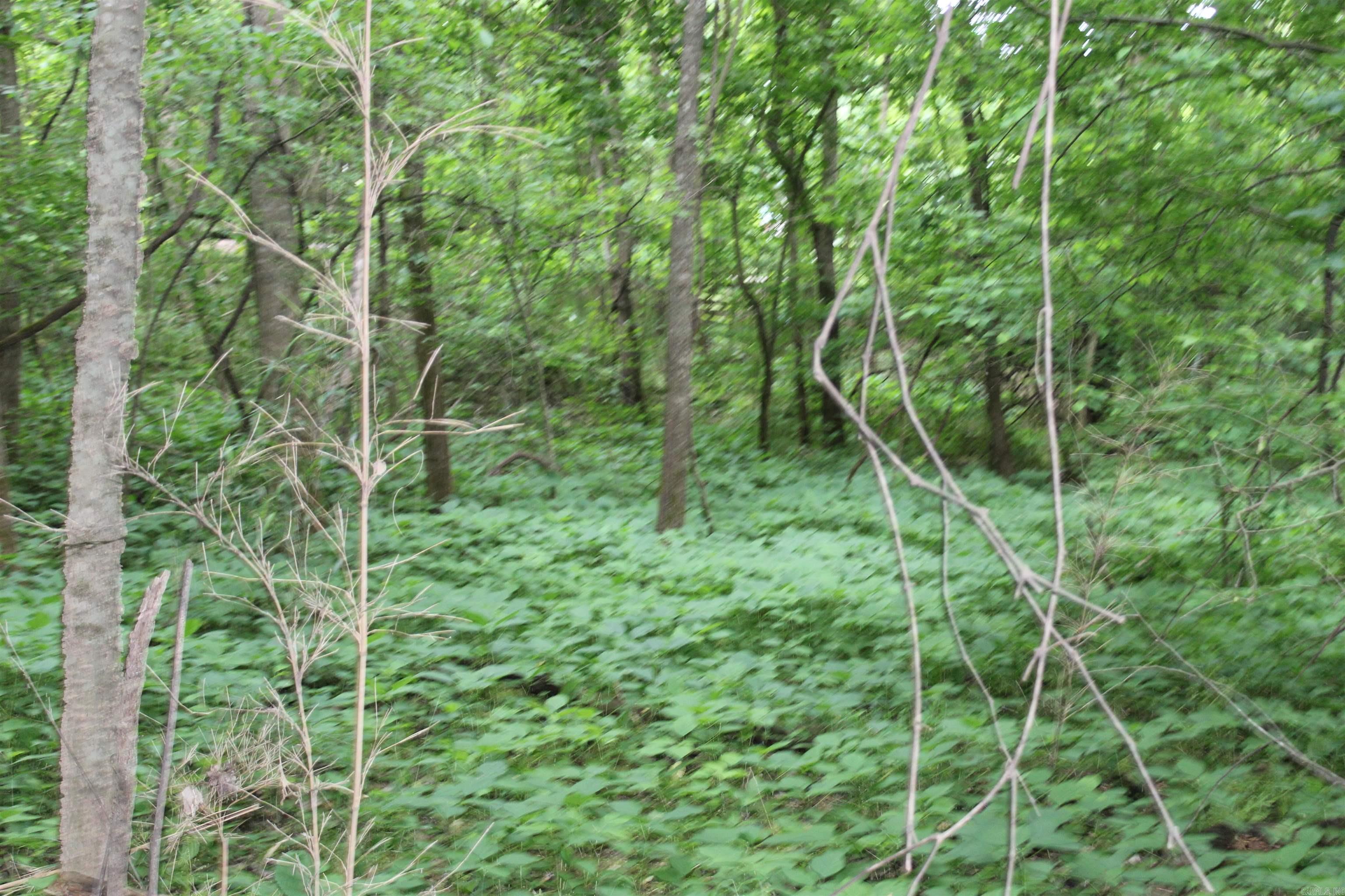 00 Cr 157 River Ridge Estates Property Photo 13