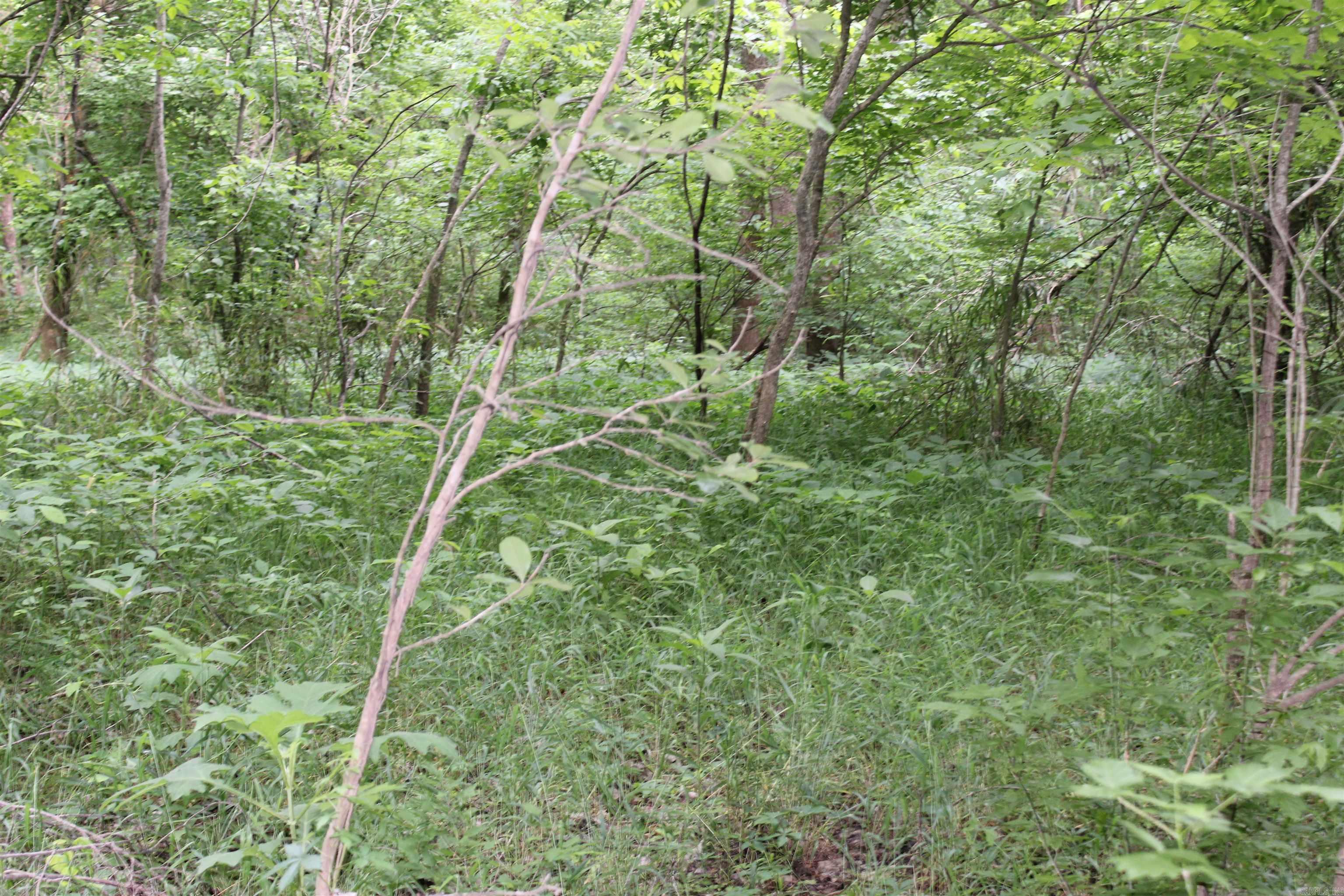 00 Cr 157 River Ridge Estates Property Photo 15