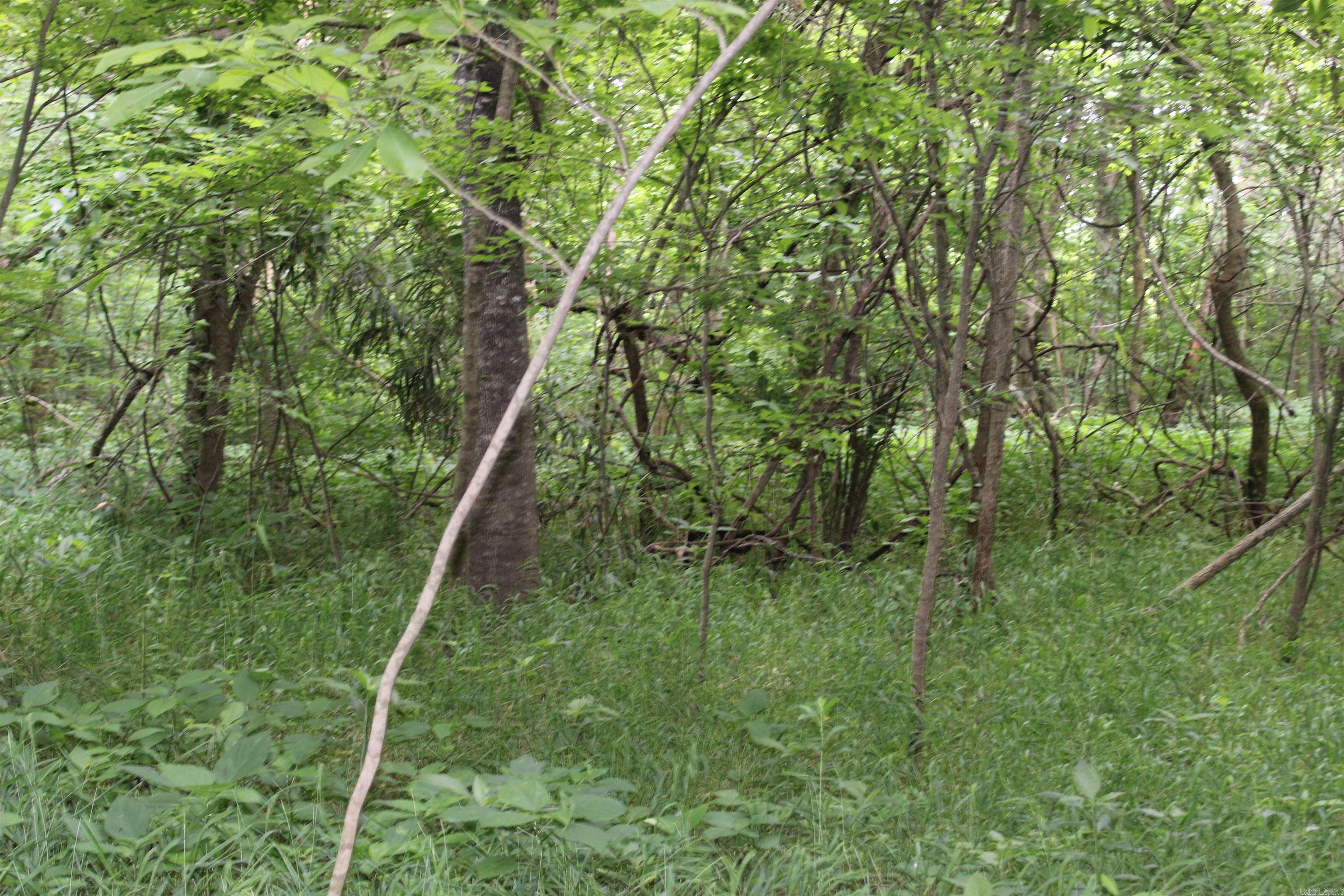 00 Cr 157 River Ridge Estates Property Photo 16