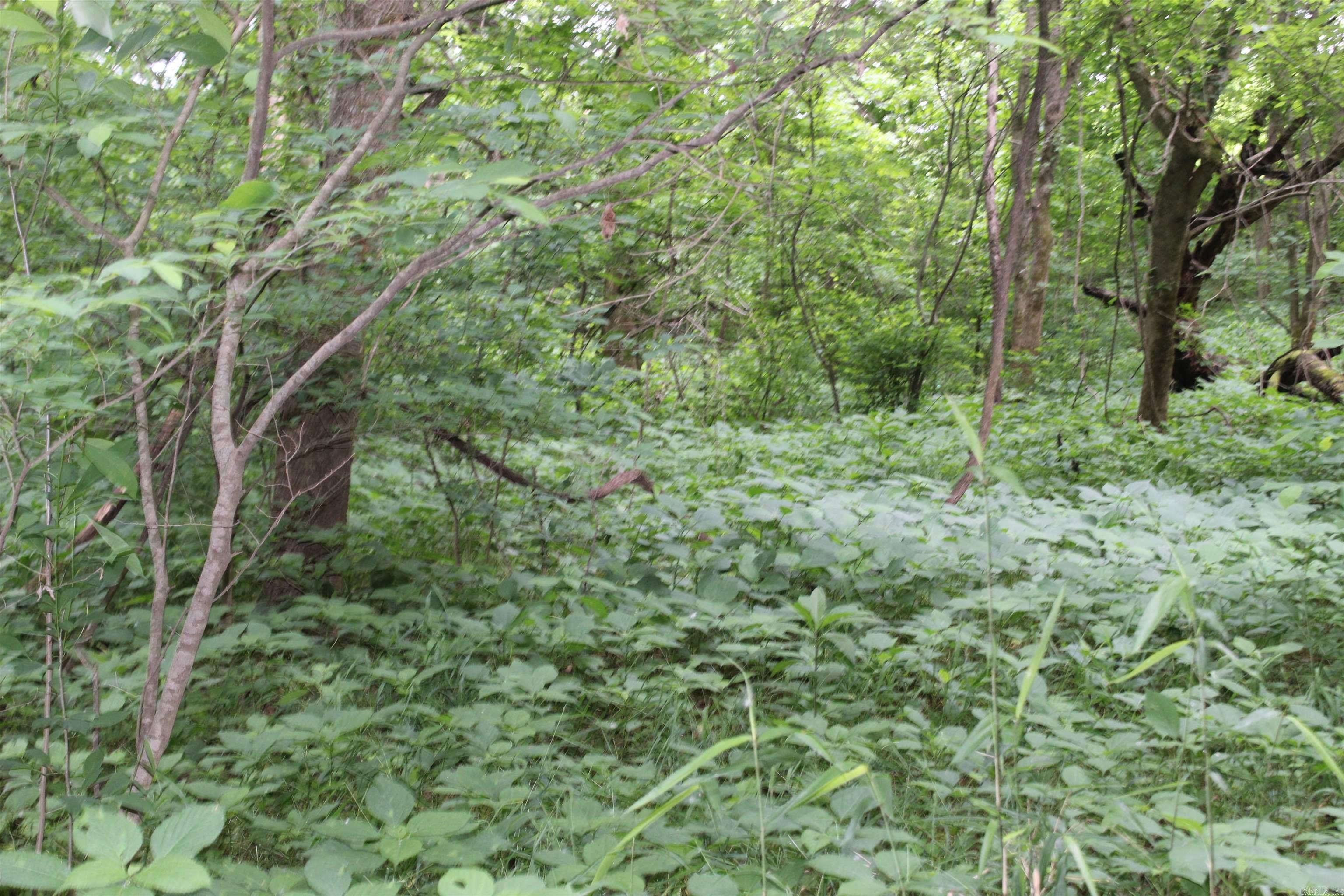 00 Cr 157 River Ridge Estates Property Photo 17