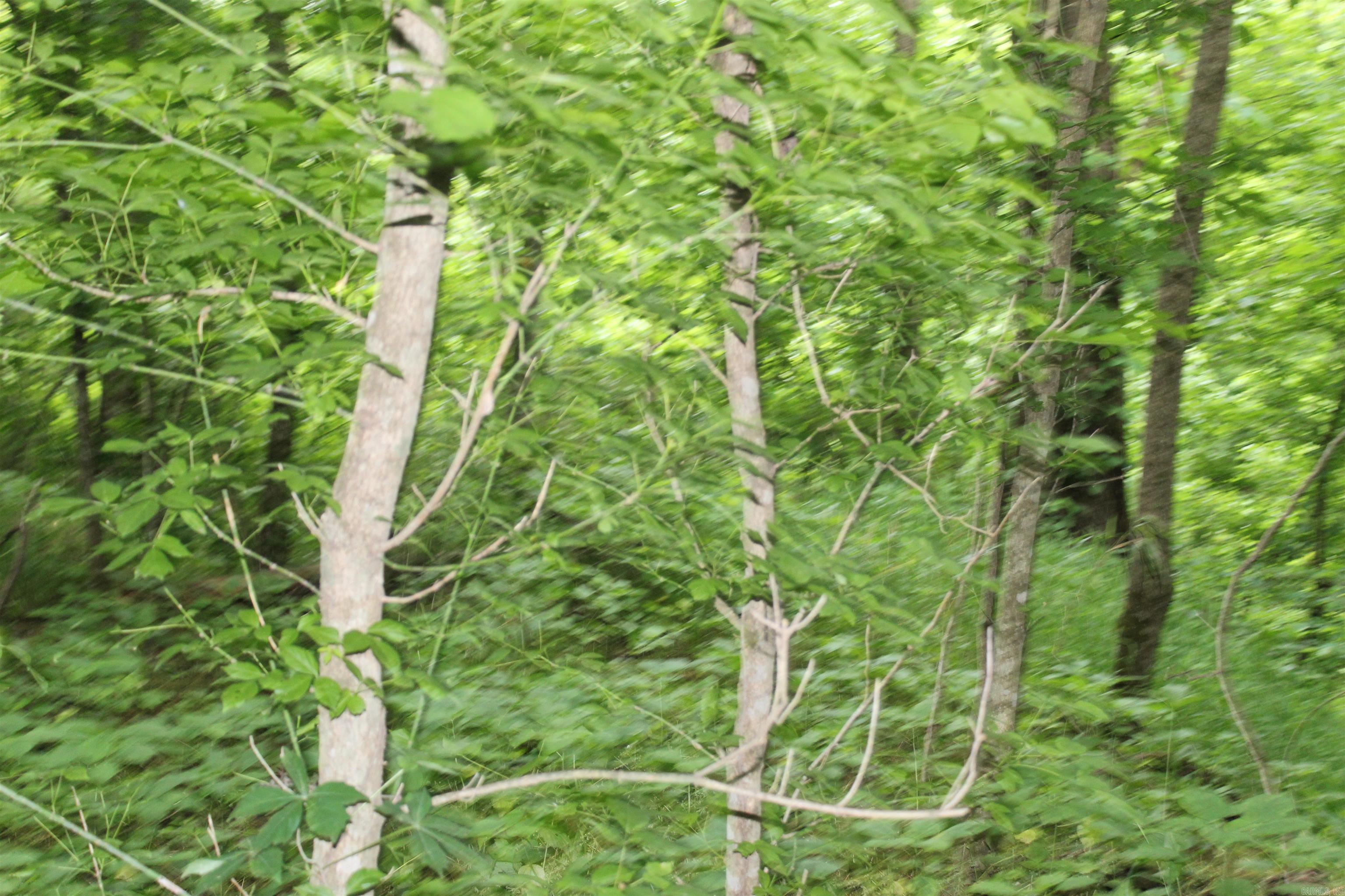 00 Cr 157 River Ridge Estates Property Photo 20