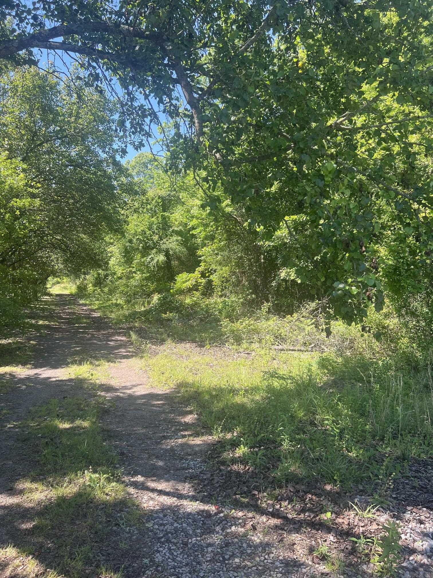 16 Caney Meadows Dr Property Photo 3