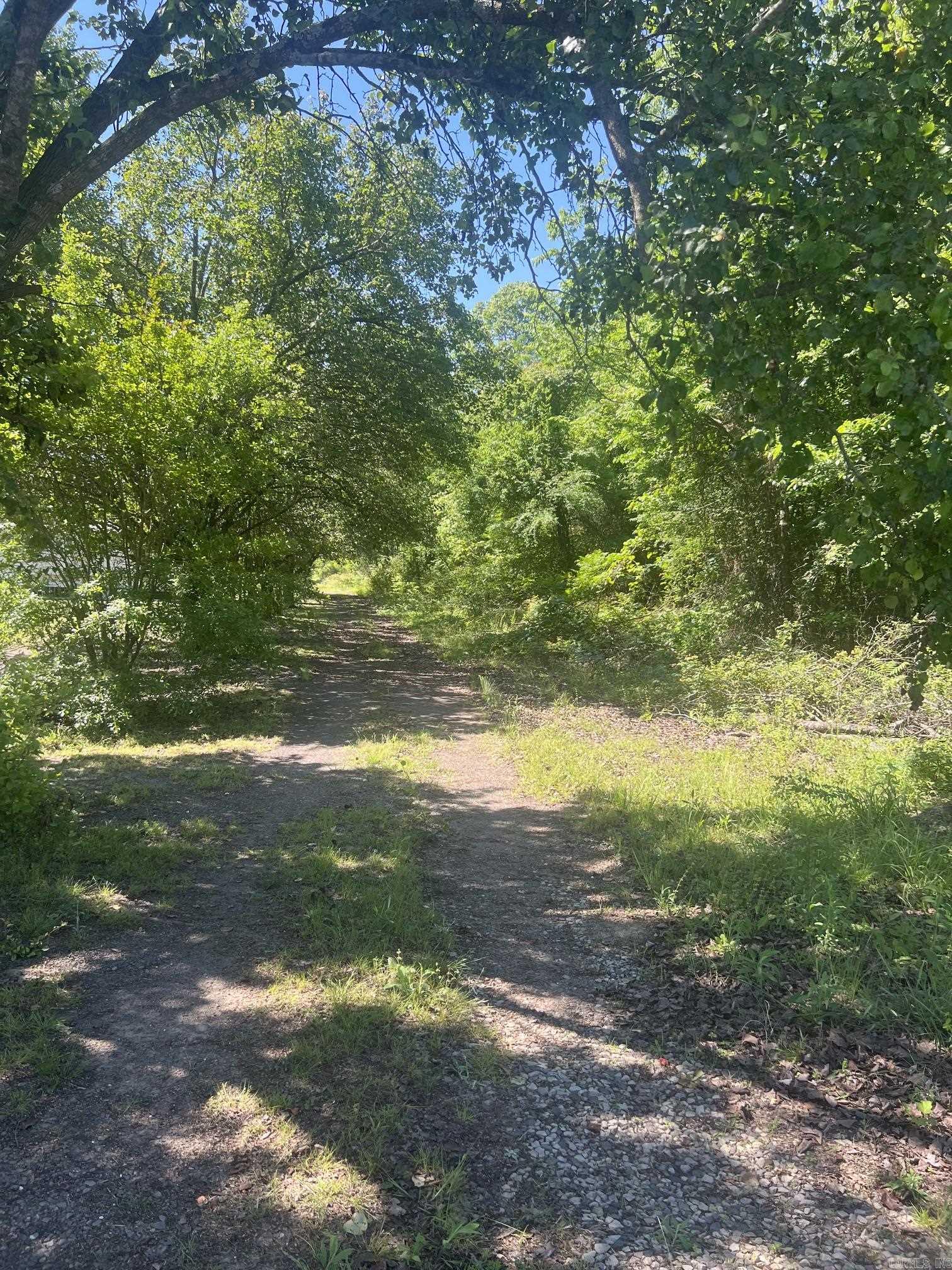 16 Caney Meadows Dr Property Photo 7