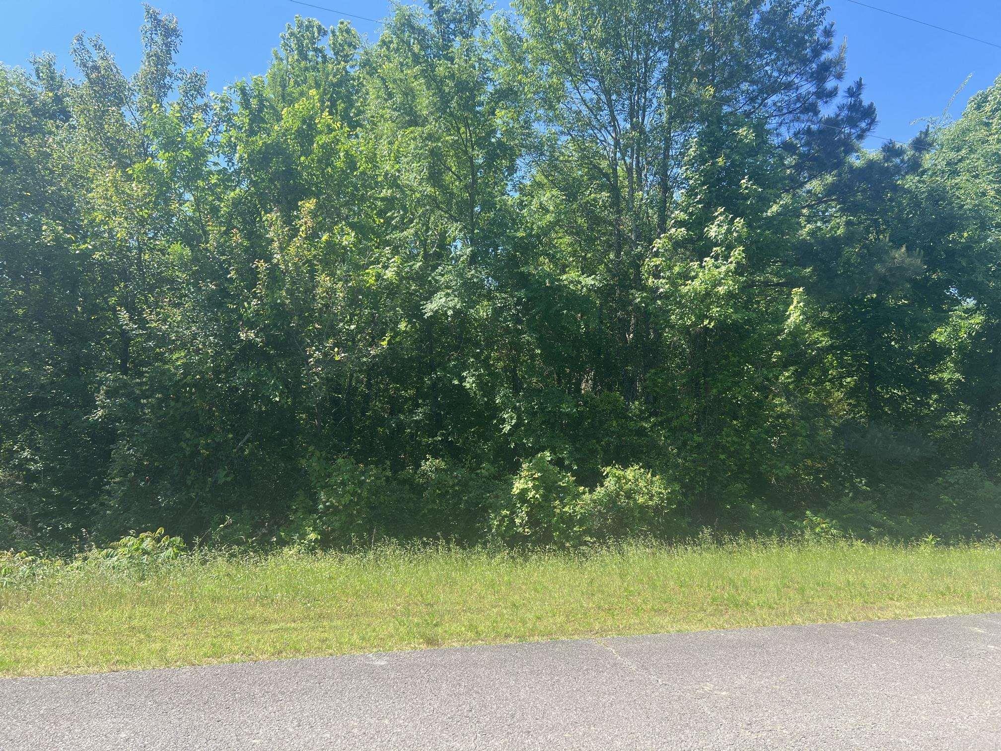16 Caney Meadows Dr Property Photo 8