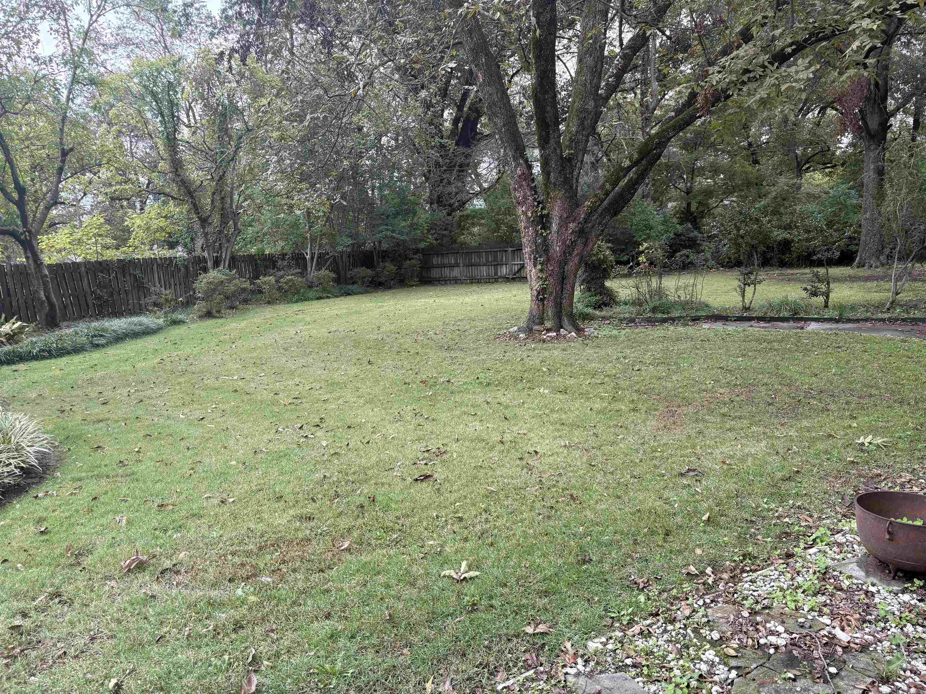 117 Brasfield Property Photo 4