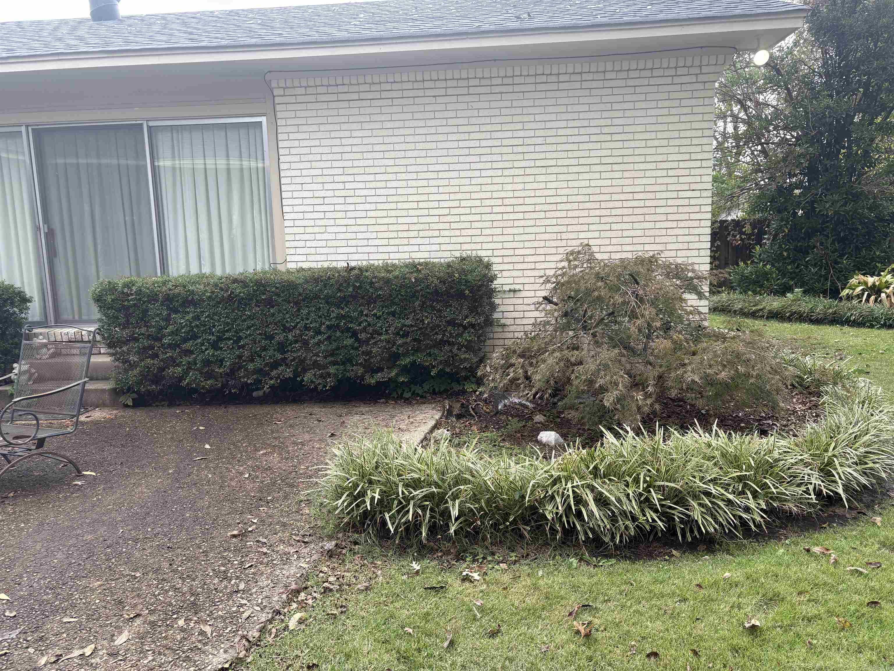 117 Brasfield Property Photo 6