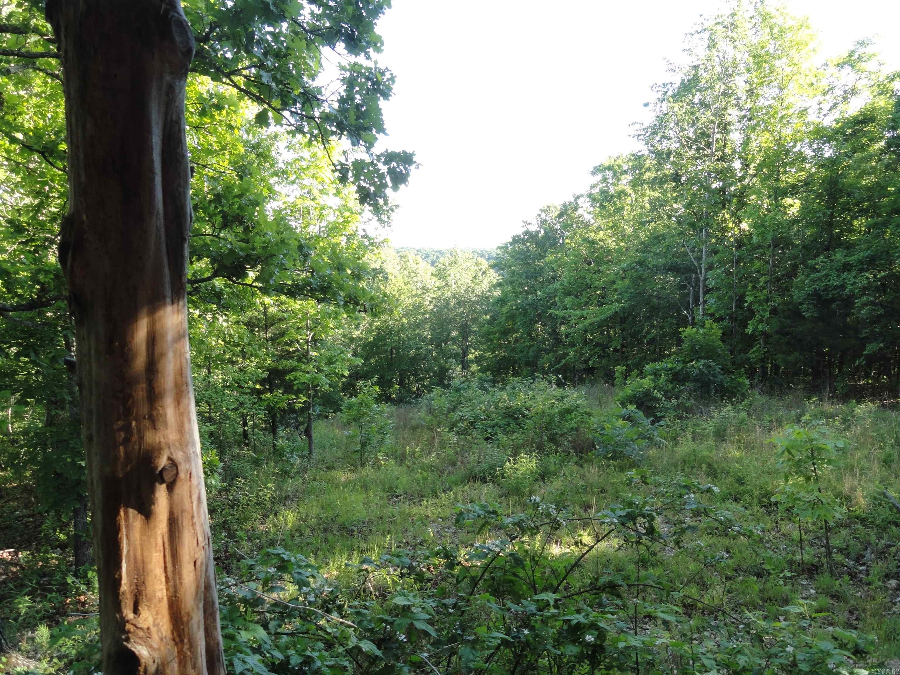 434 Fallen Tree Road Property Photo 6