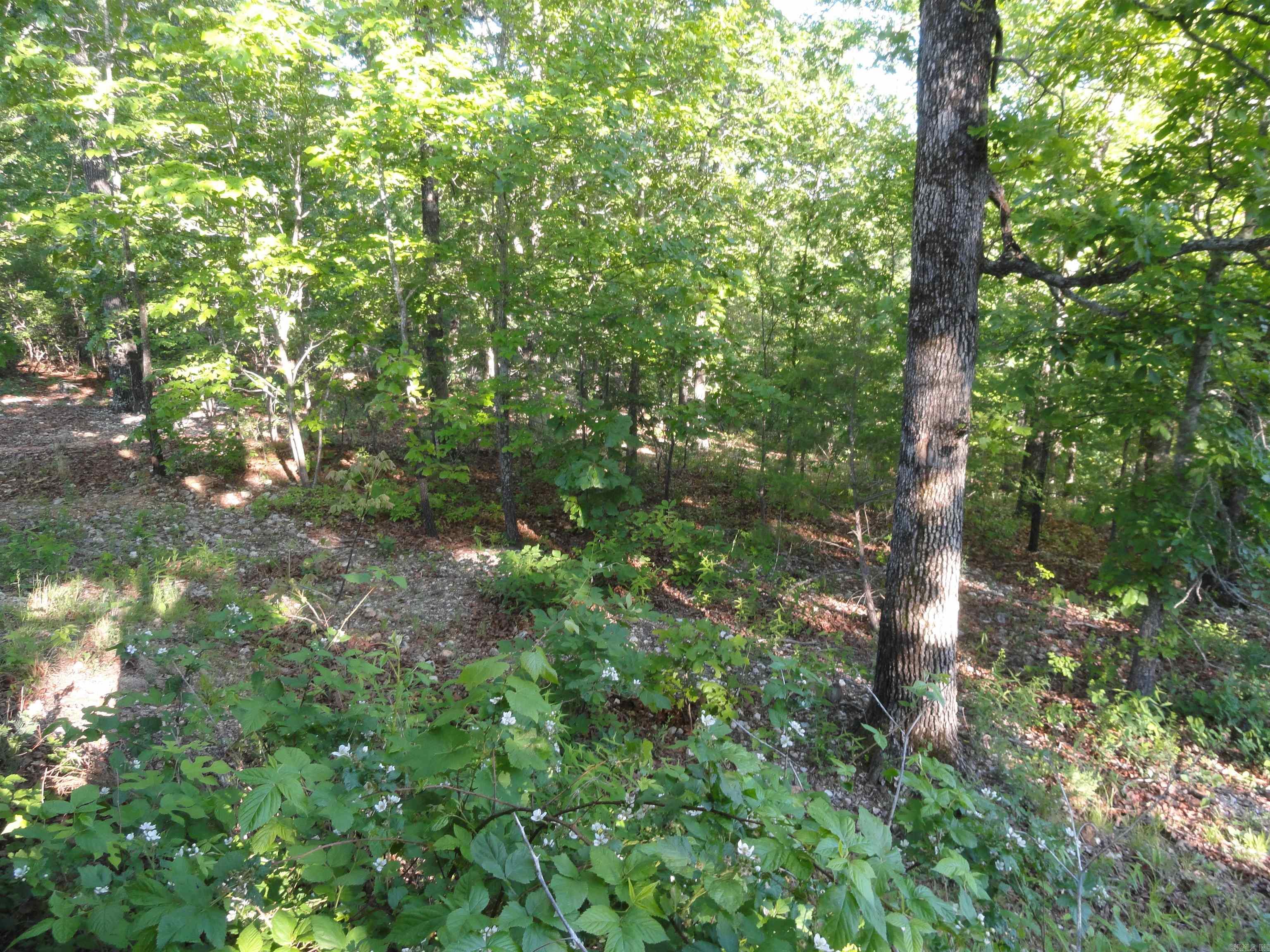 434 Fallen Tree Road Property Photo 26