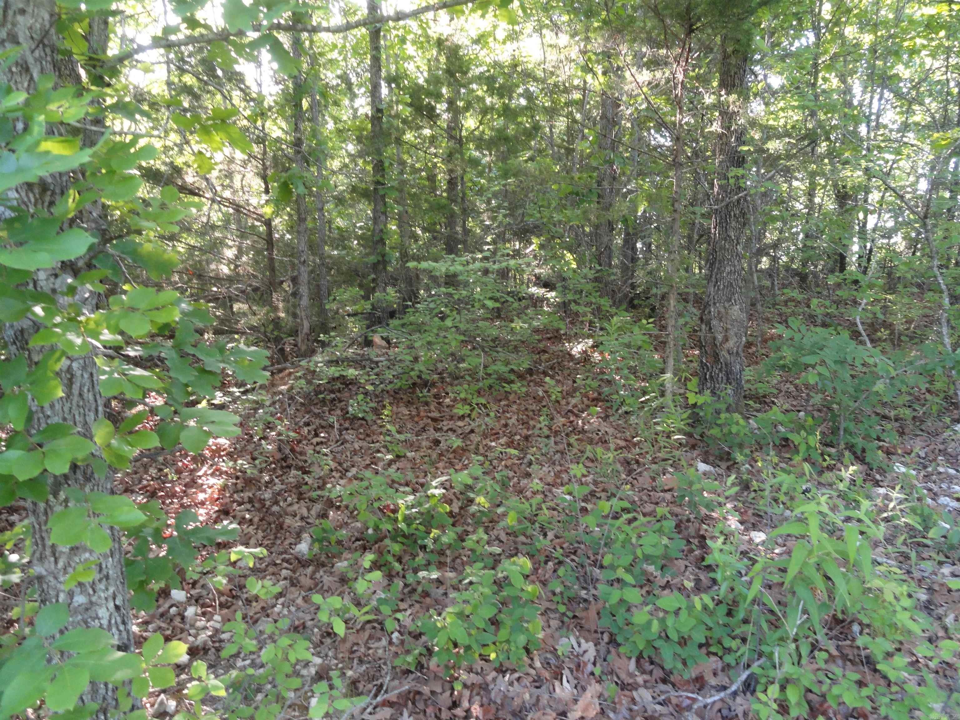 434 Fallen Tree Road Property Photo 29
