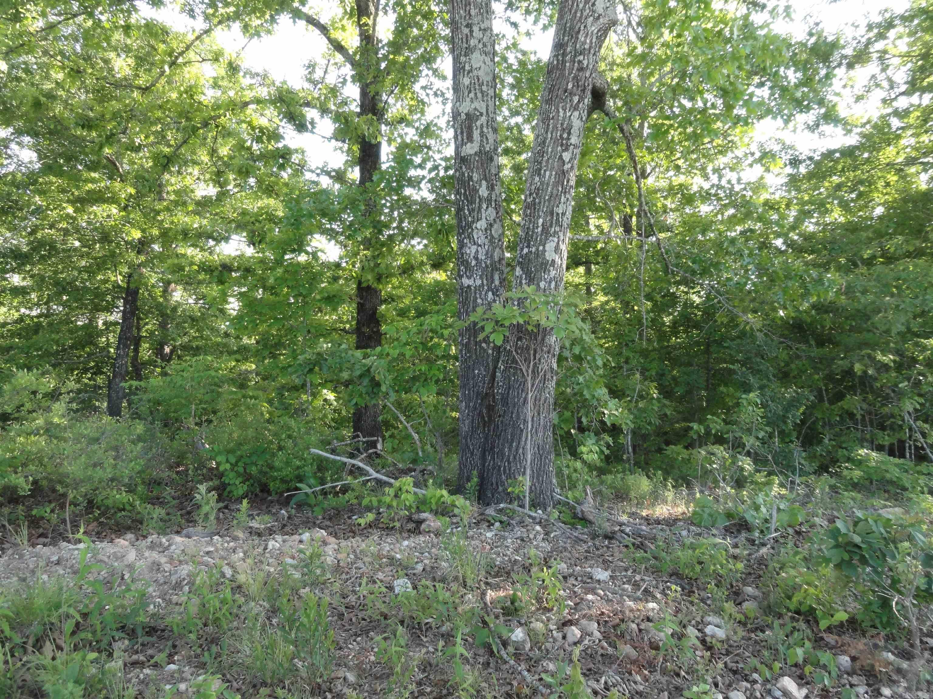 434 Fallen Tree Road Property Photo 30