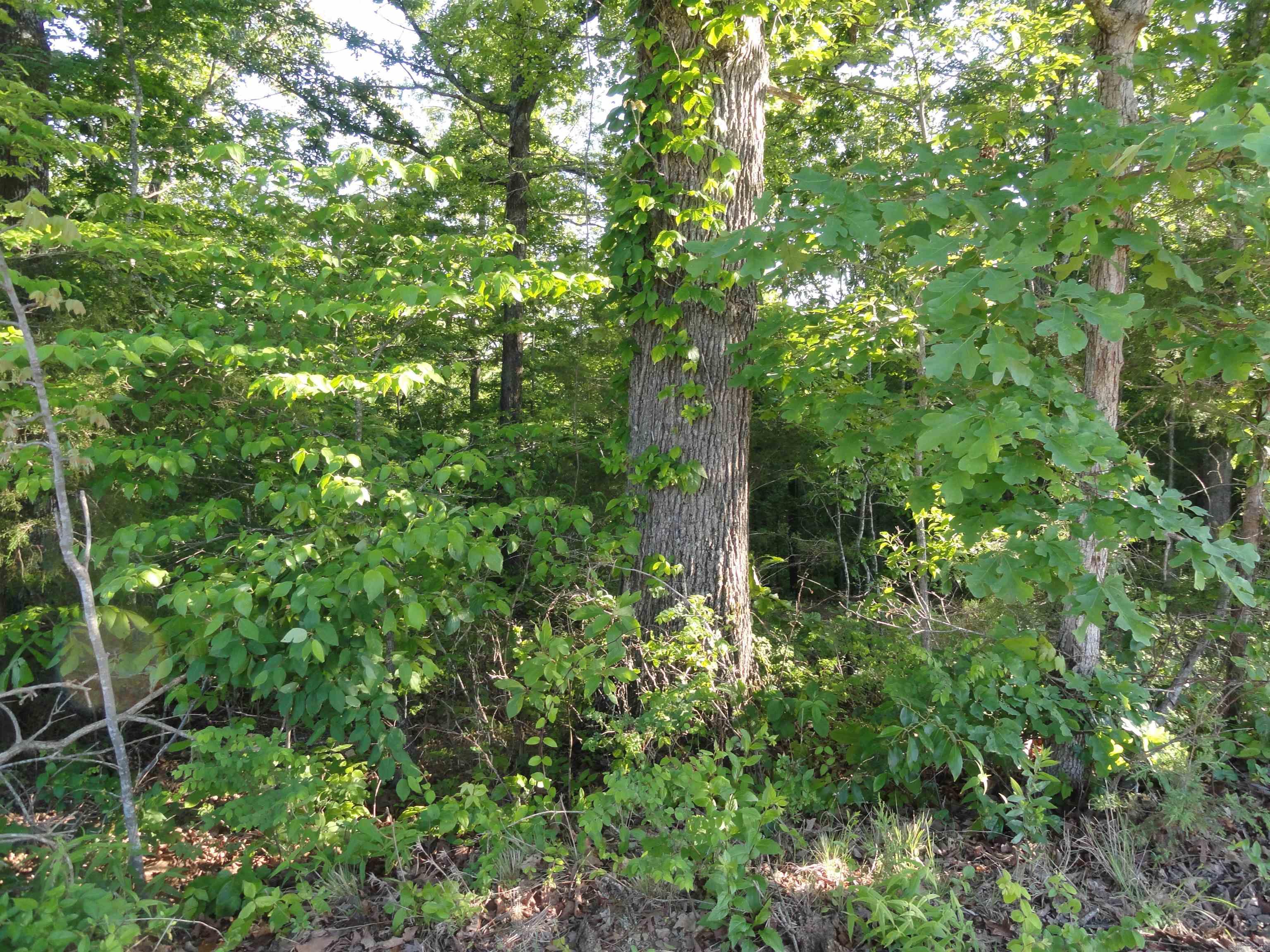 434 Fallen Tree Road Property Photo 32