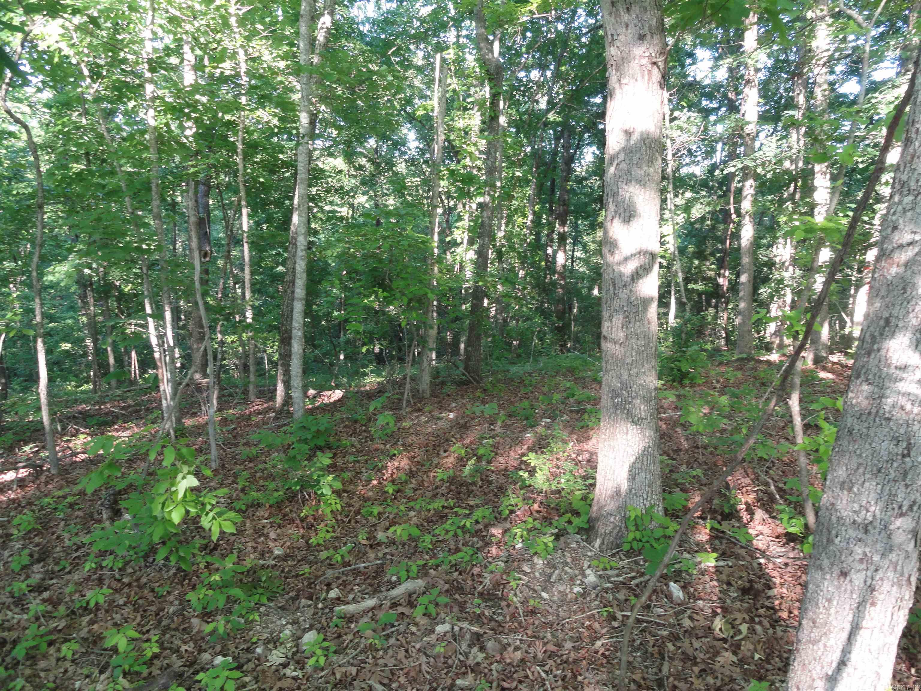 434 Fallen Tree Road Property Photo 36