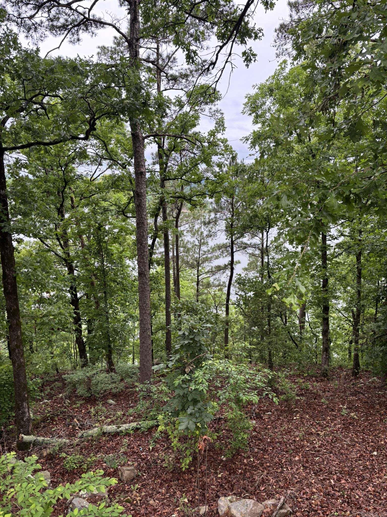 252 Mountain Mist Drive Property Photo 8
