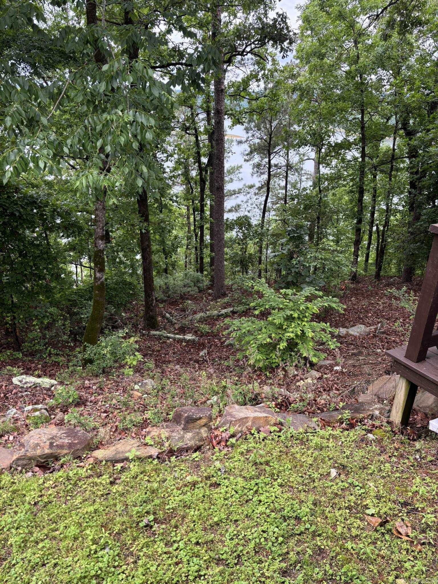 252 Mountain Mist Drive Property Photo 12