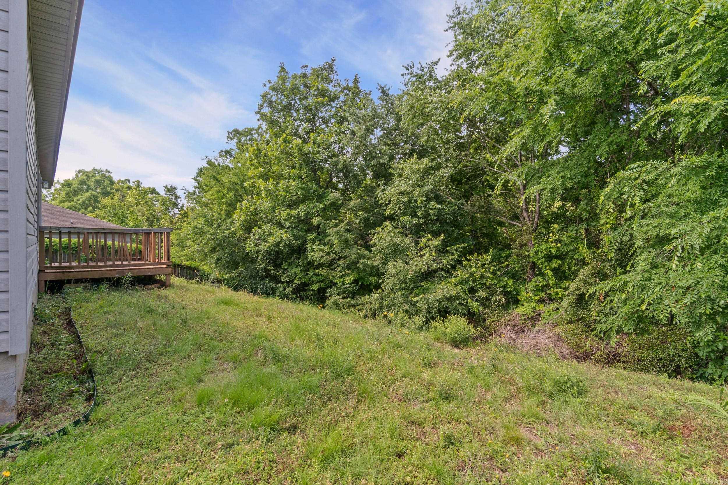 14616 Woodside Place Loop Property Photo 37