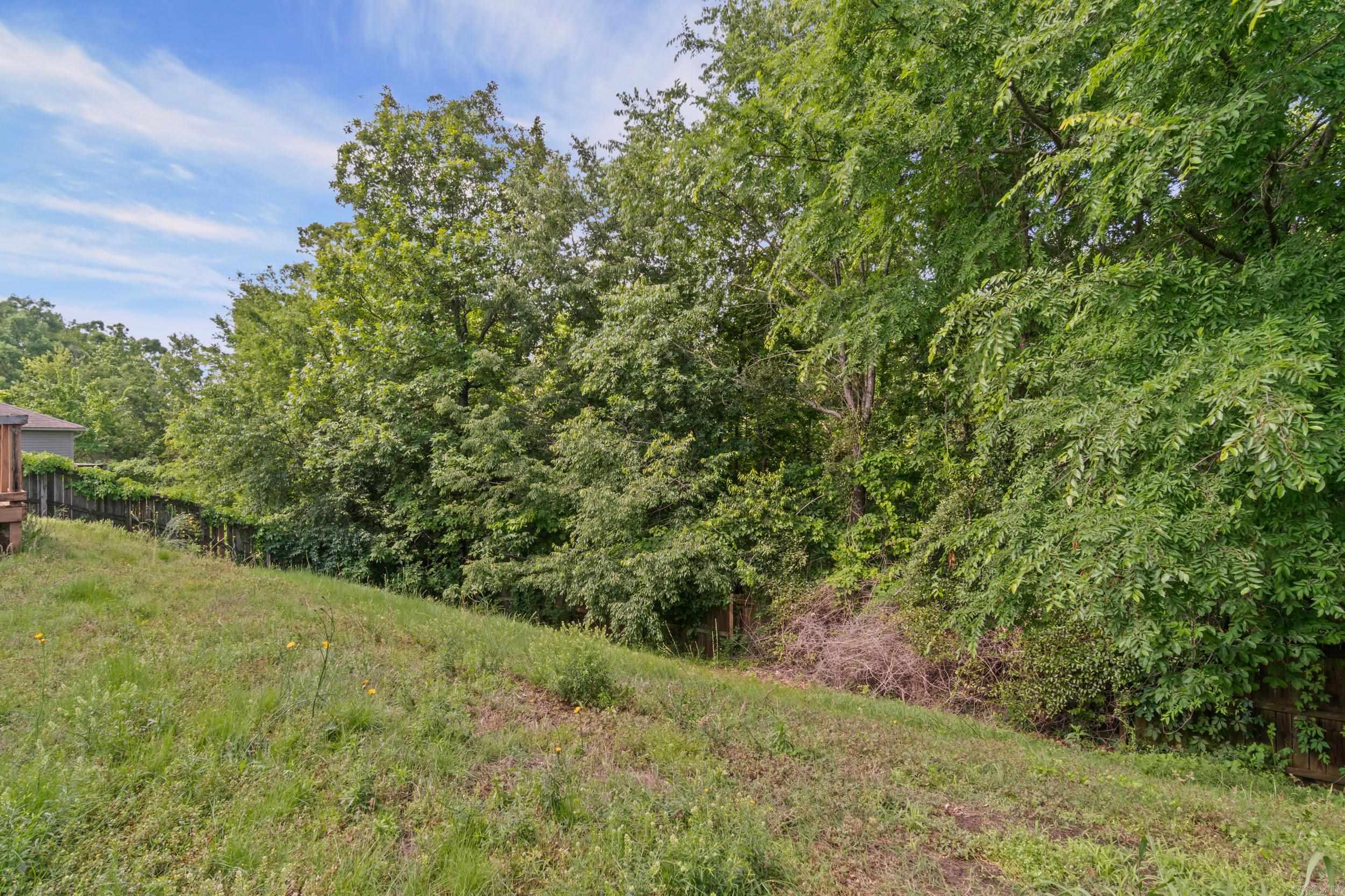 14616 Woodside Place Loop Property Photo 38
