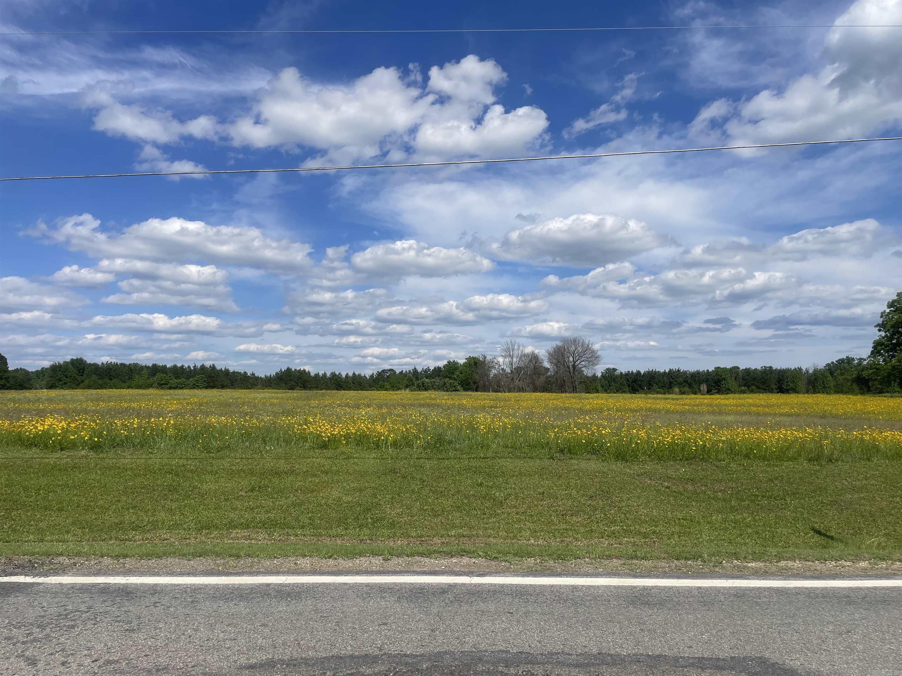 000 Highway 291 Property Photo 4