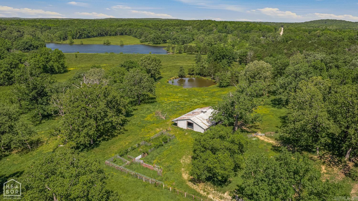 9000 Highway 251 Property Photo 6