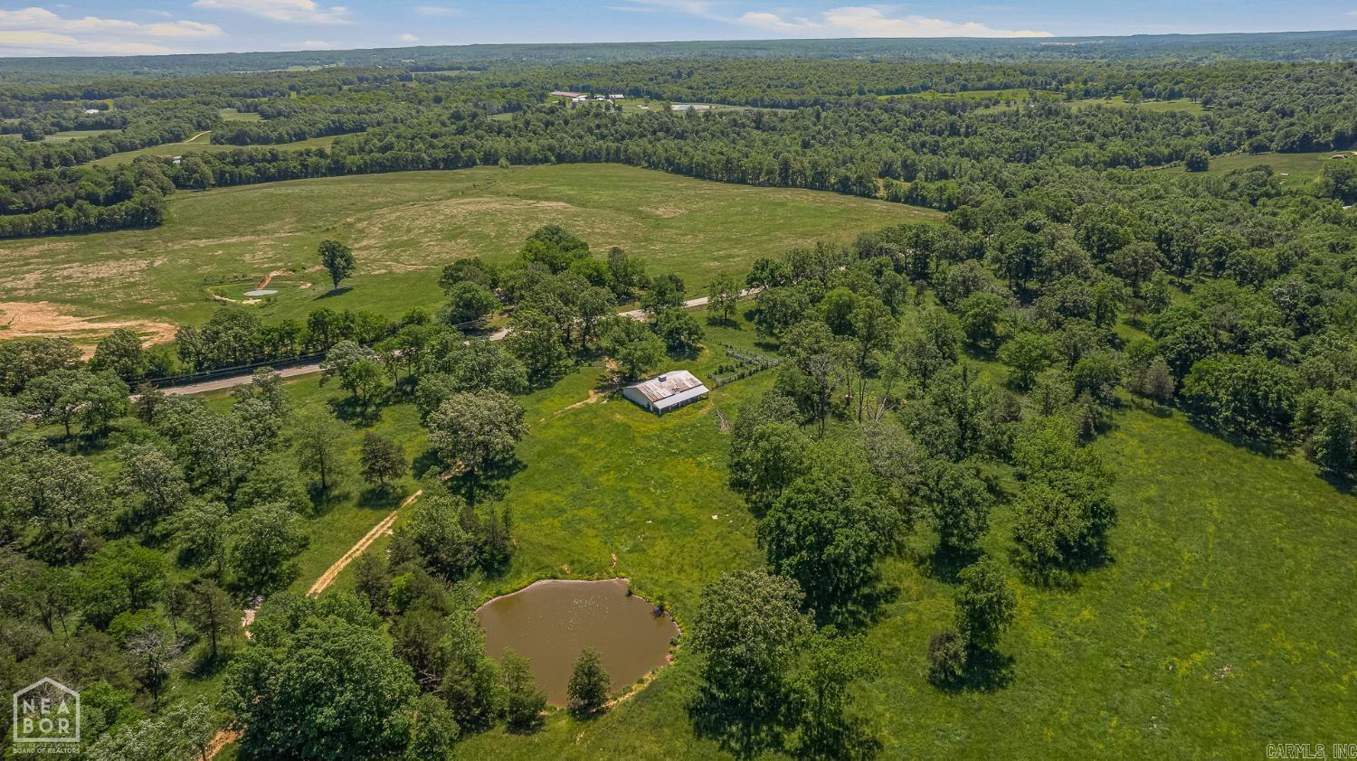 9000 Highway 251 Property Photo 12