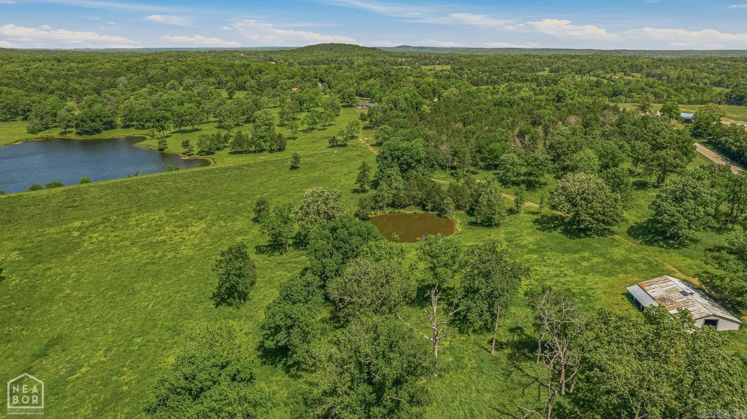 9000 Highway 251 Property Photo 13