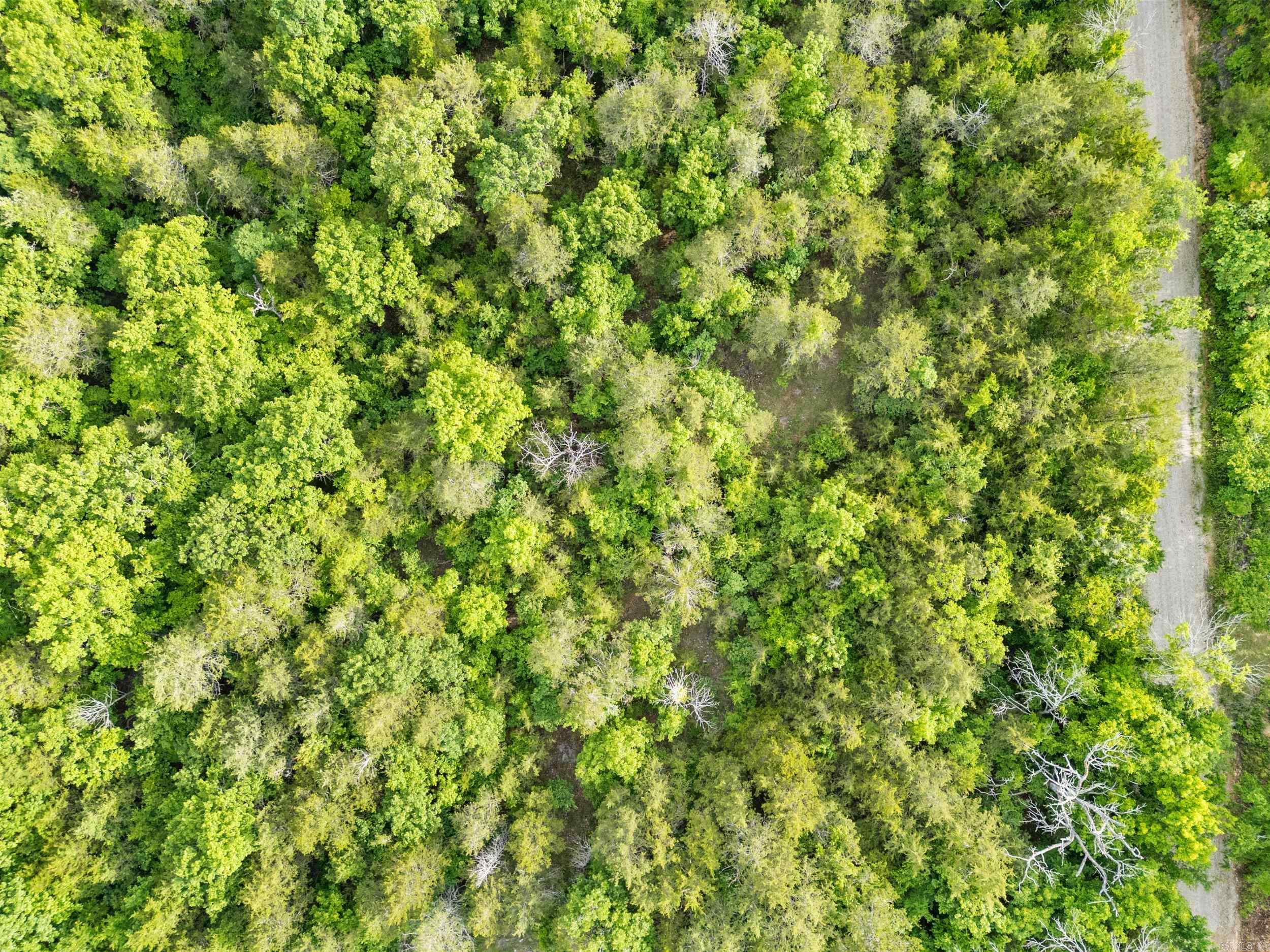 Lot 115 Greenhaven Property Photo 17