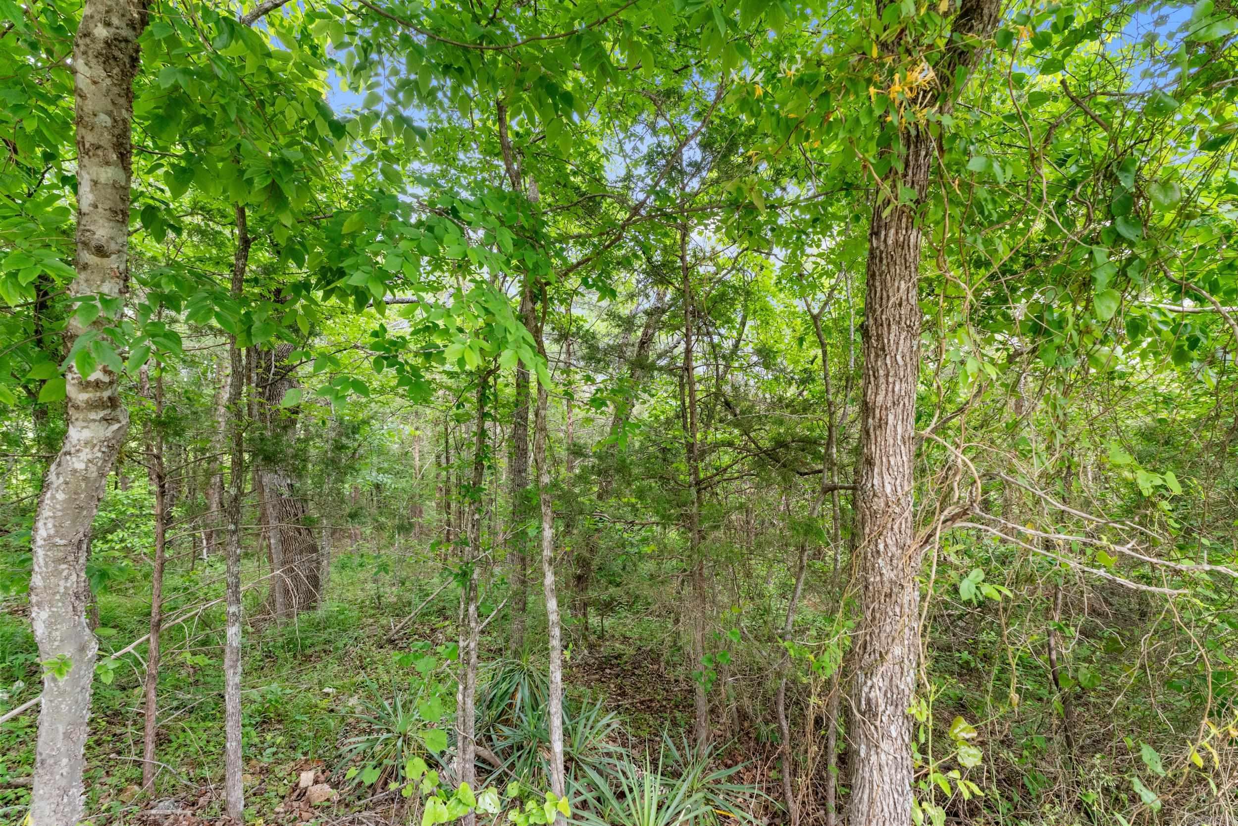 Lot 115 Greenhaven Property Photo 20