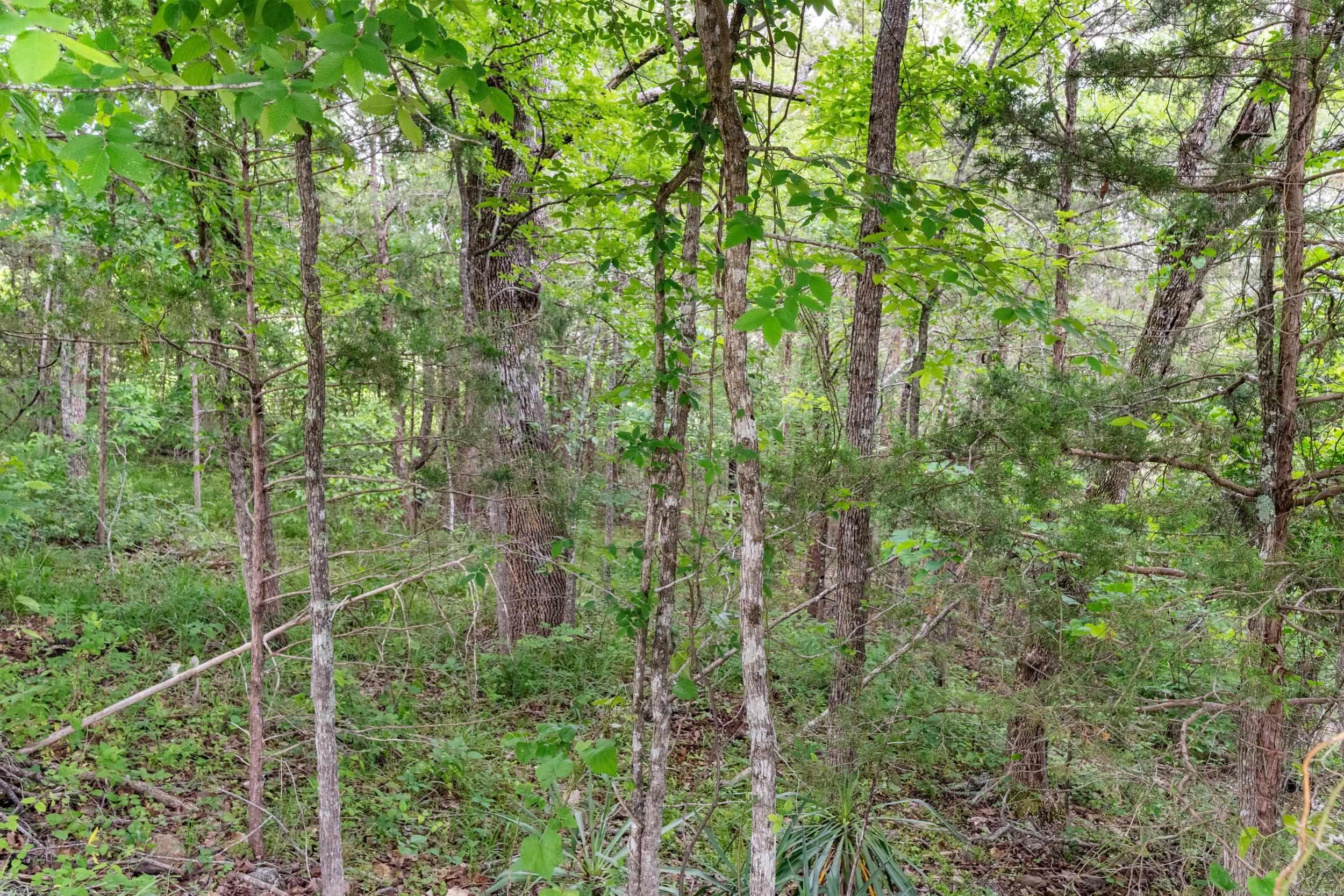 Lot 115 Greenhaven Property Photo 25