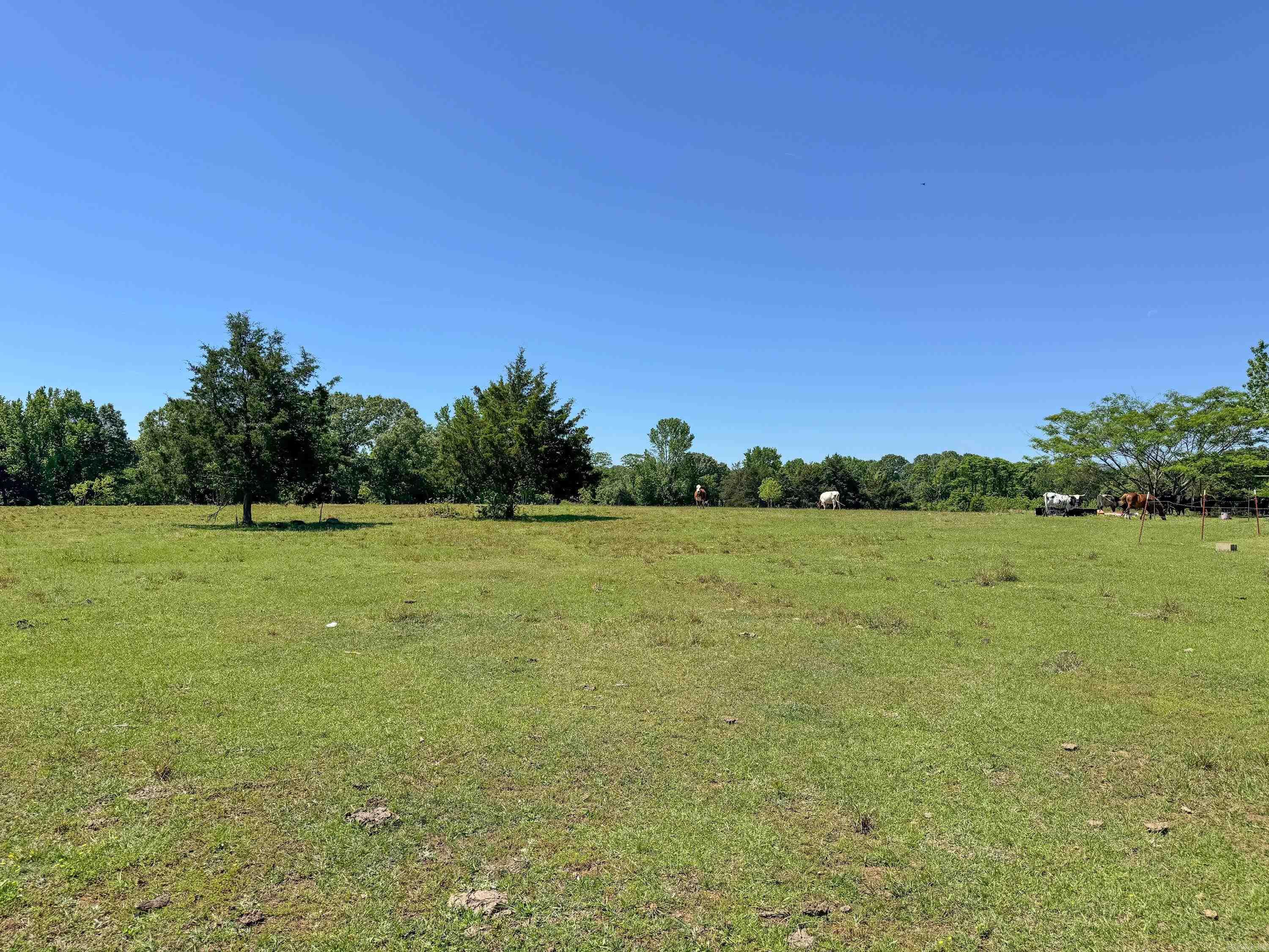 82 Herring Road Property Photo 4