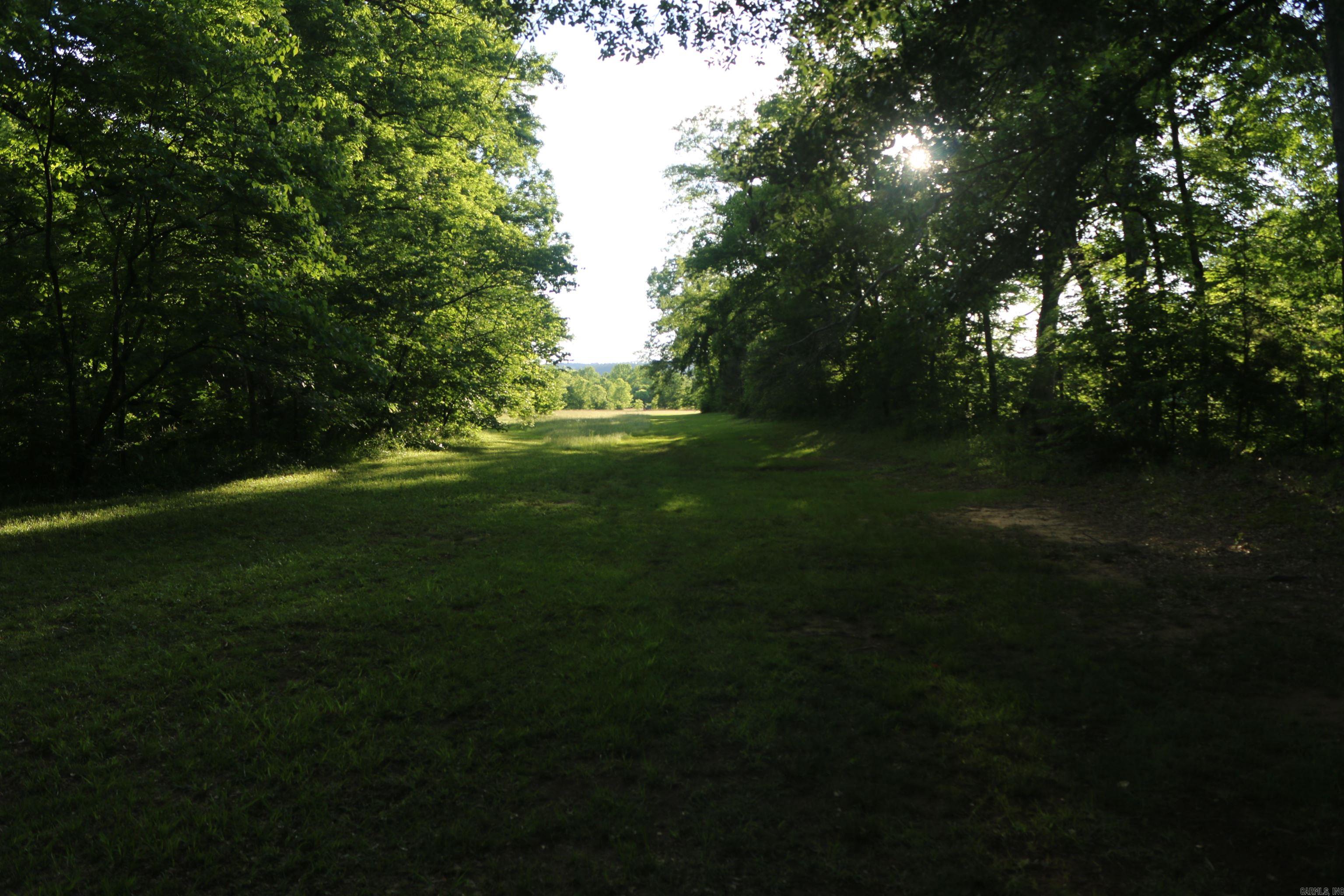 2832 Yearling Ridge Road Property Photo 38