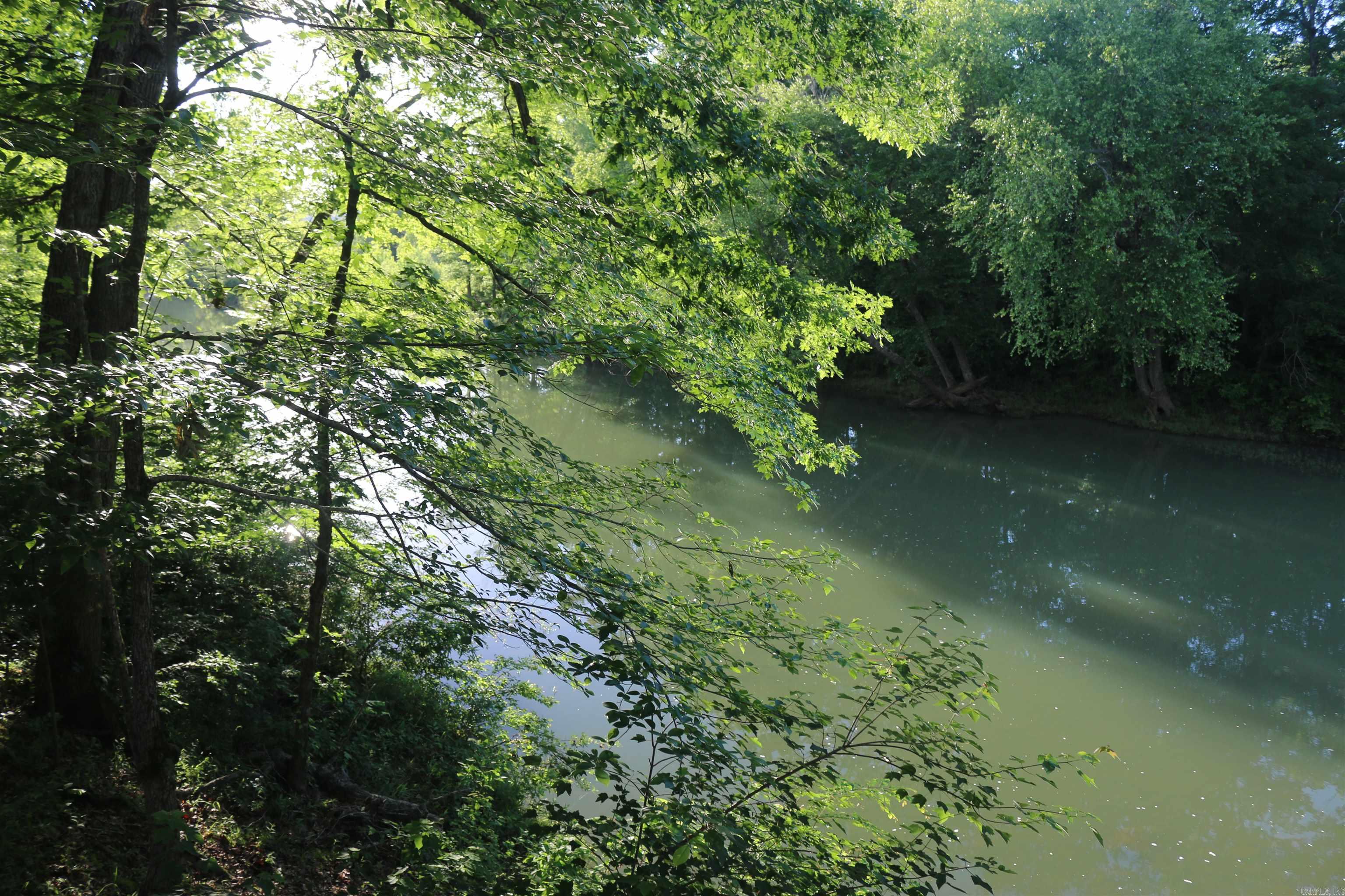 2832 Yearling Ridge Road Property Photo 40