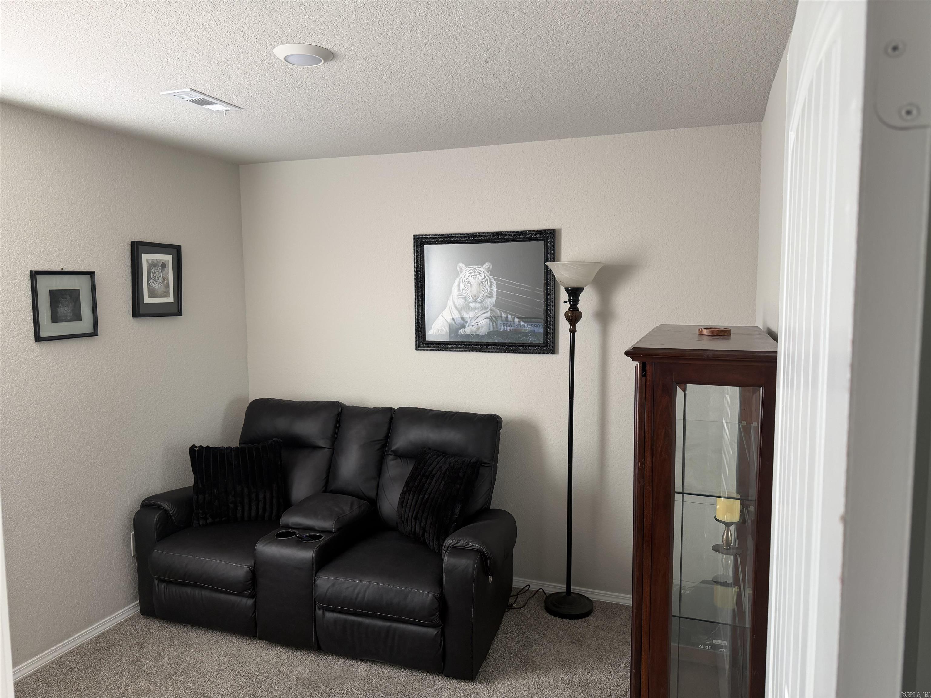 25 Swayze Rhys Ln. Property Photo 17