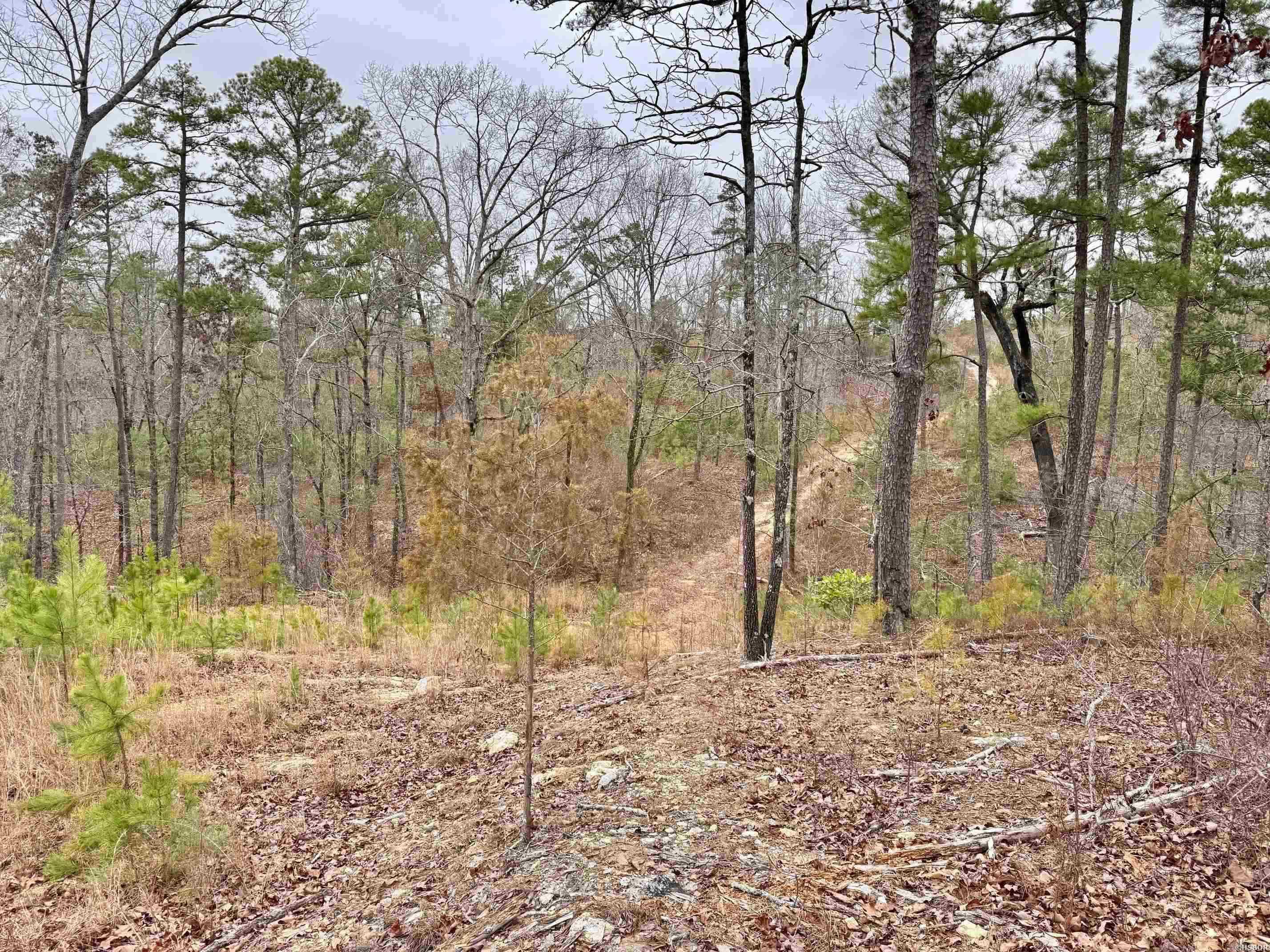 000 Park Avenue Property Photo 16