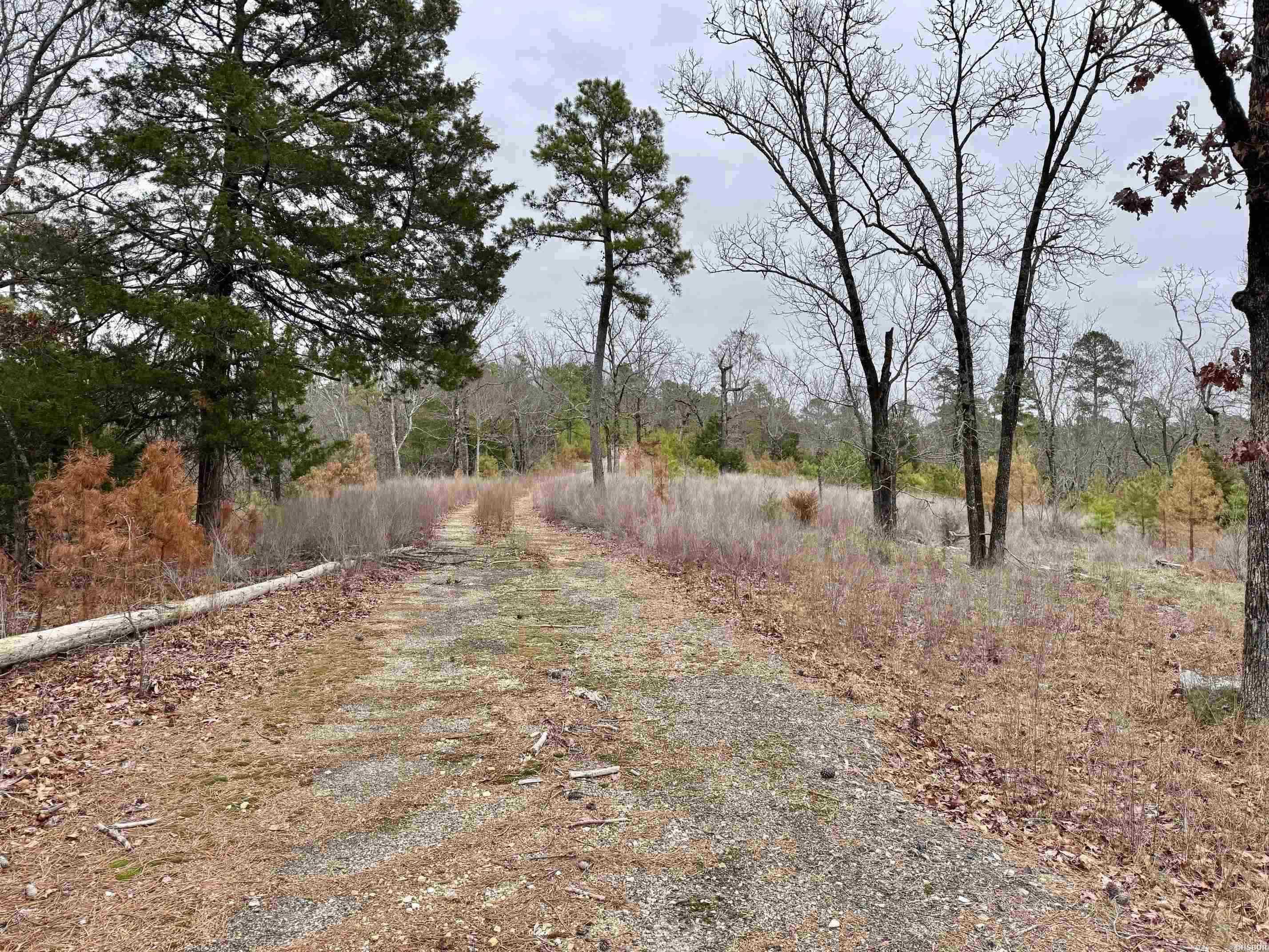 000 Park Avenue Property Photo 17