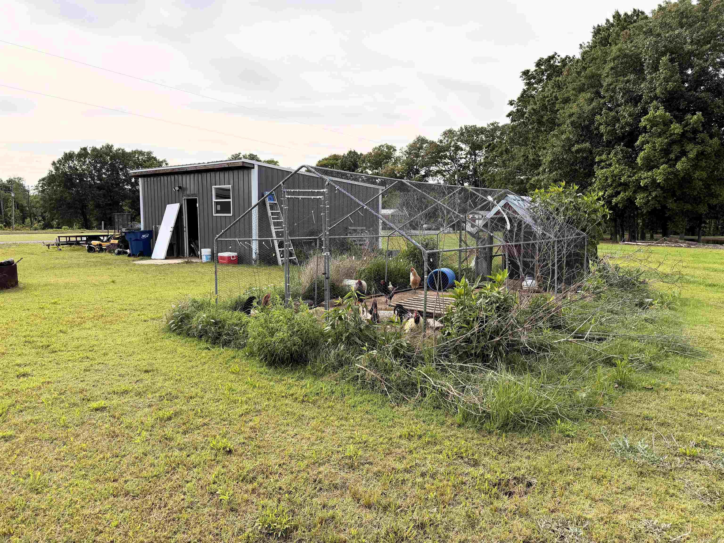 12798 Griffin Road Property Photo 8