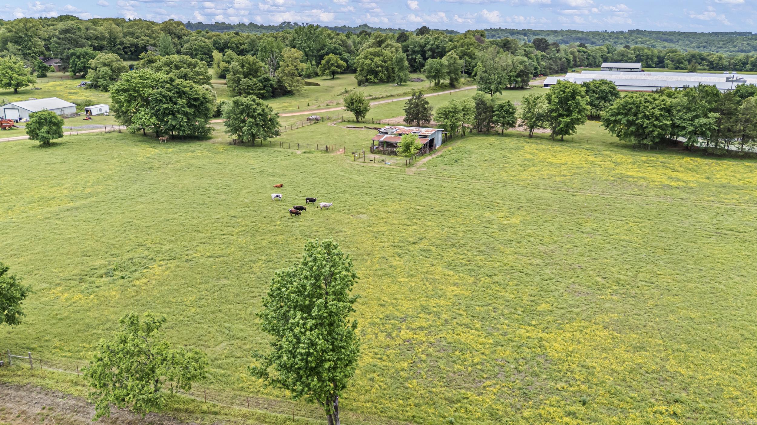0 Wire Road Property Photo 18