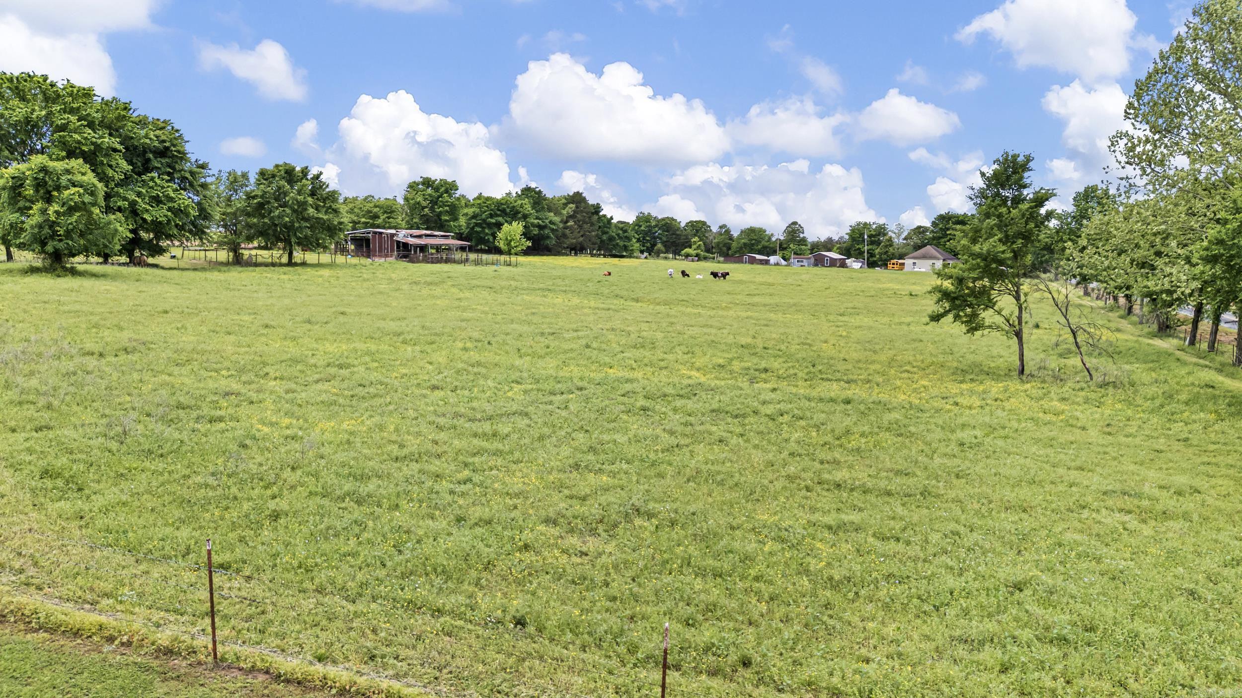0 Wire Road Property Photo 19