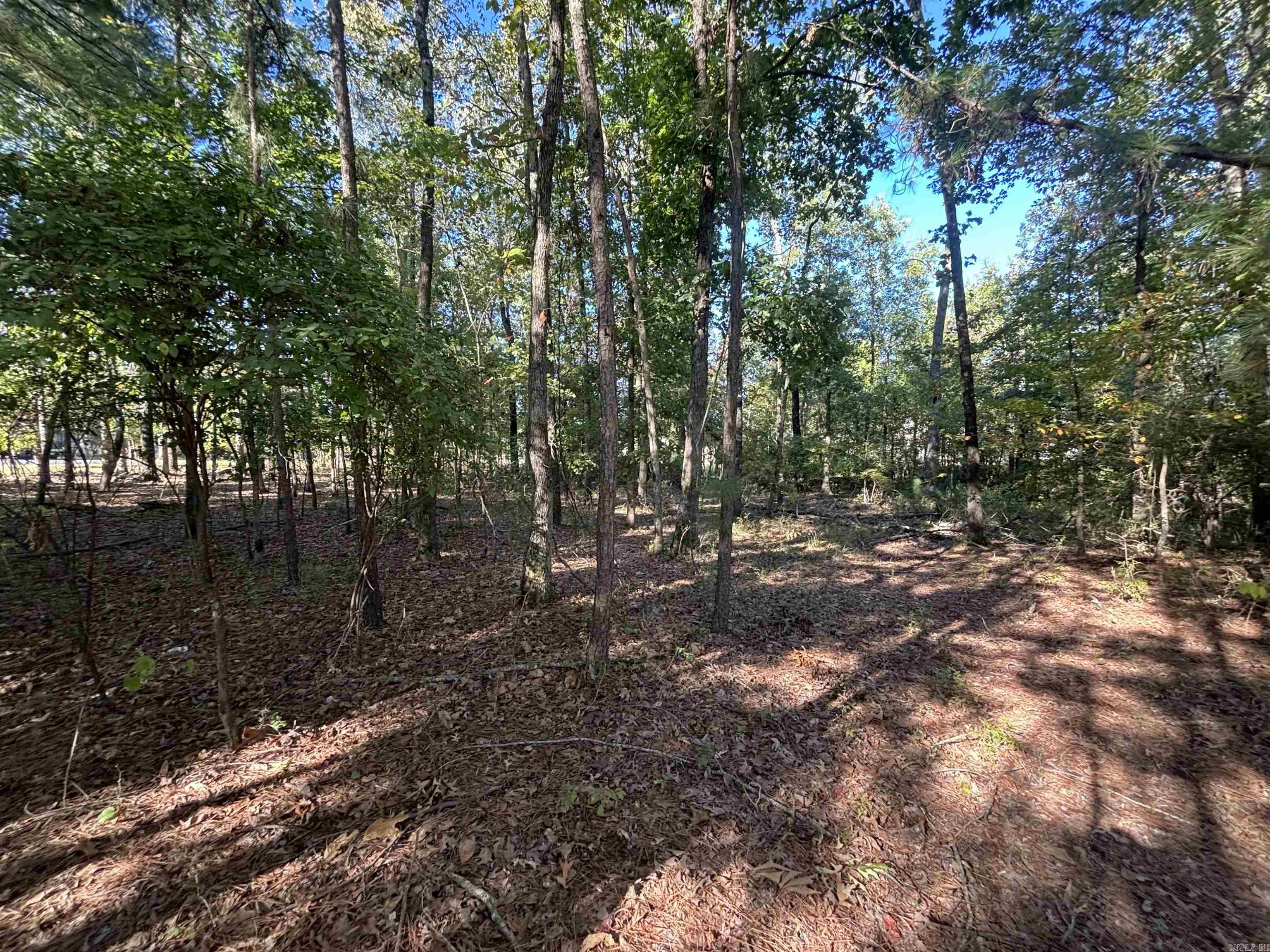 0 Freda Lane (south Lot) Property Photo 3