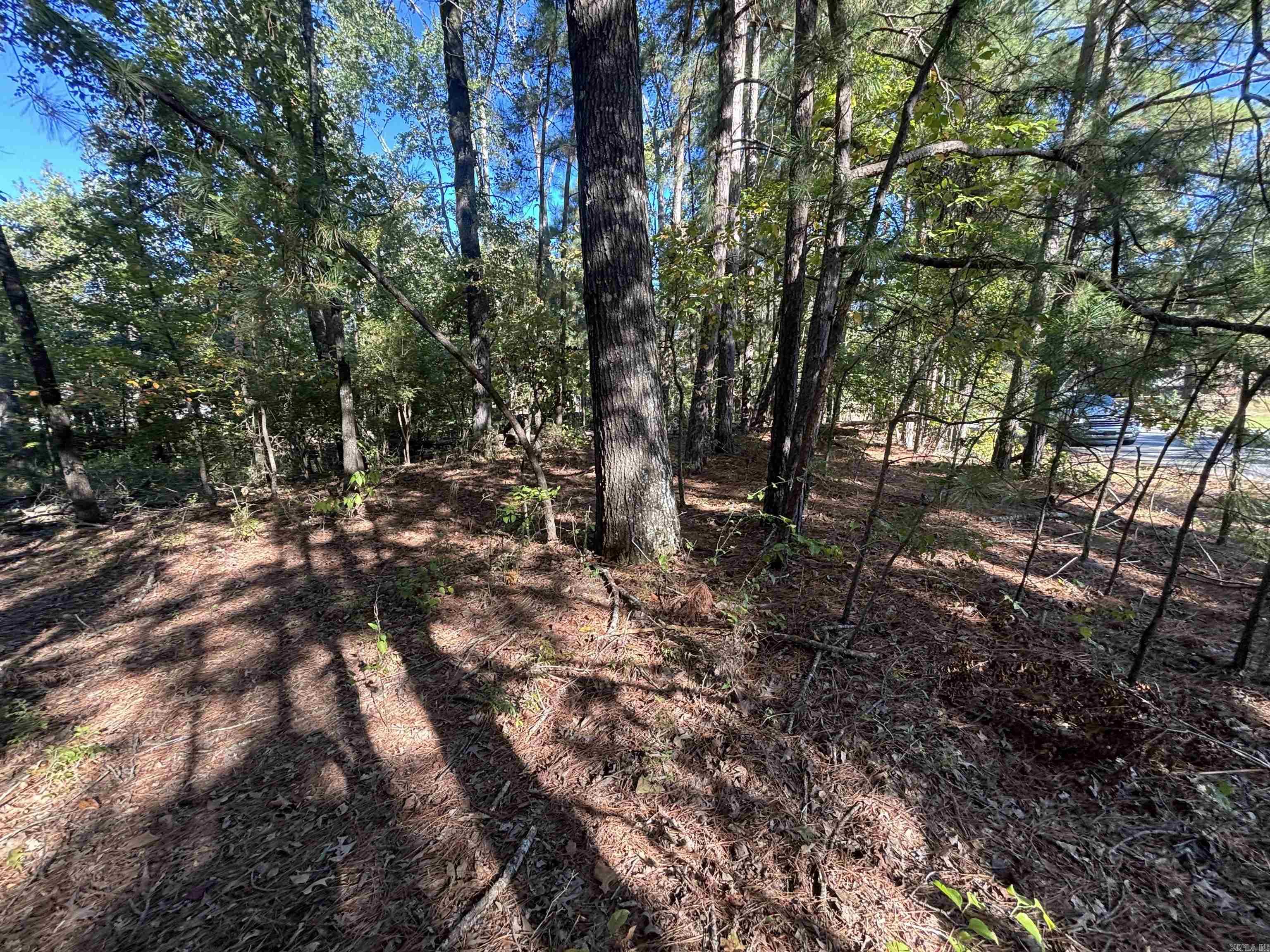 0 Freda Lane (south Lot) Property Photo 4