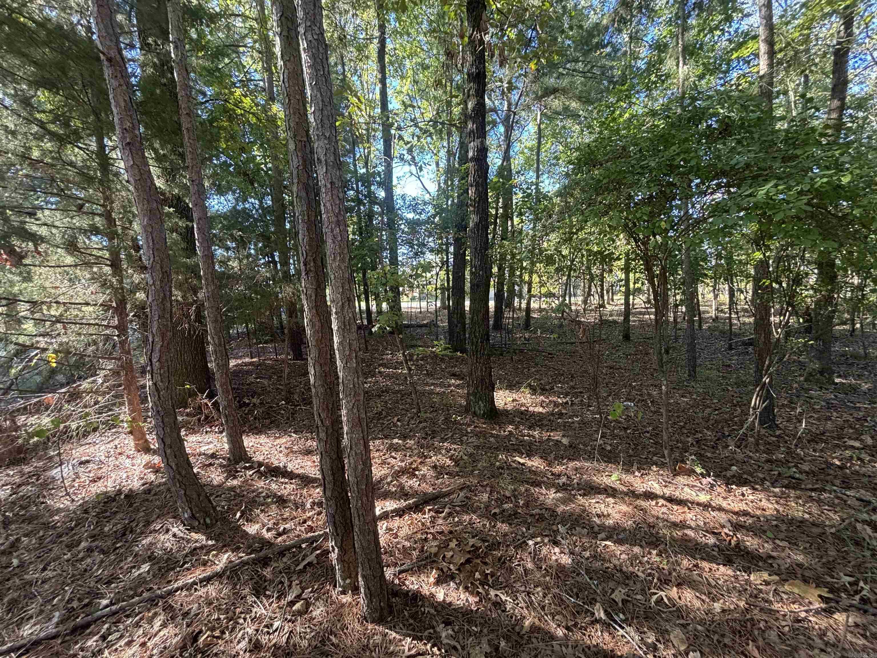 0 Freda Lane (south Lot) Property Photo 5